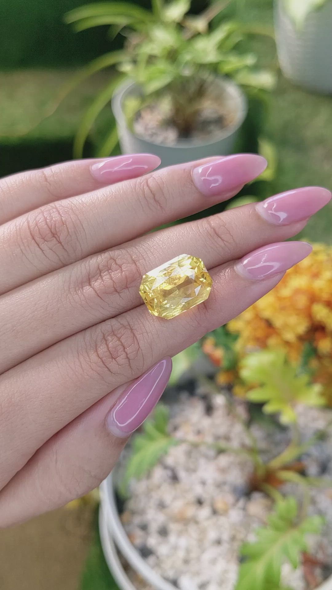 18.20 Ct. Yellow Sapphire from Ceylon (Sri Lanka) Size Video