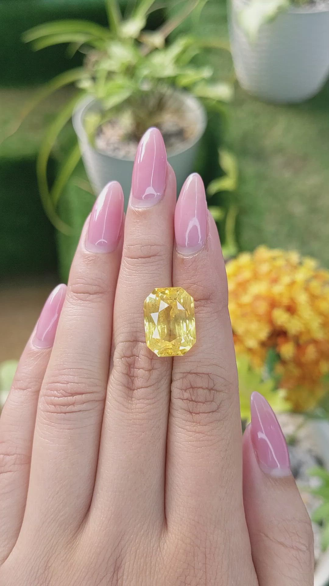 18.20 Ct. Yellow Sapphire from Ceylon (Sri Lanka) Size Video
