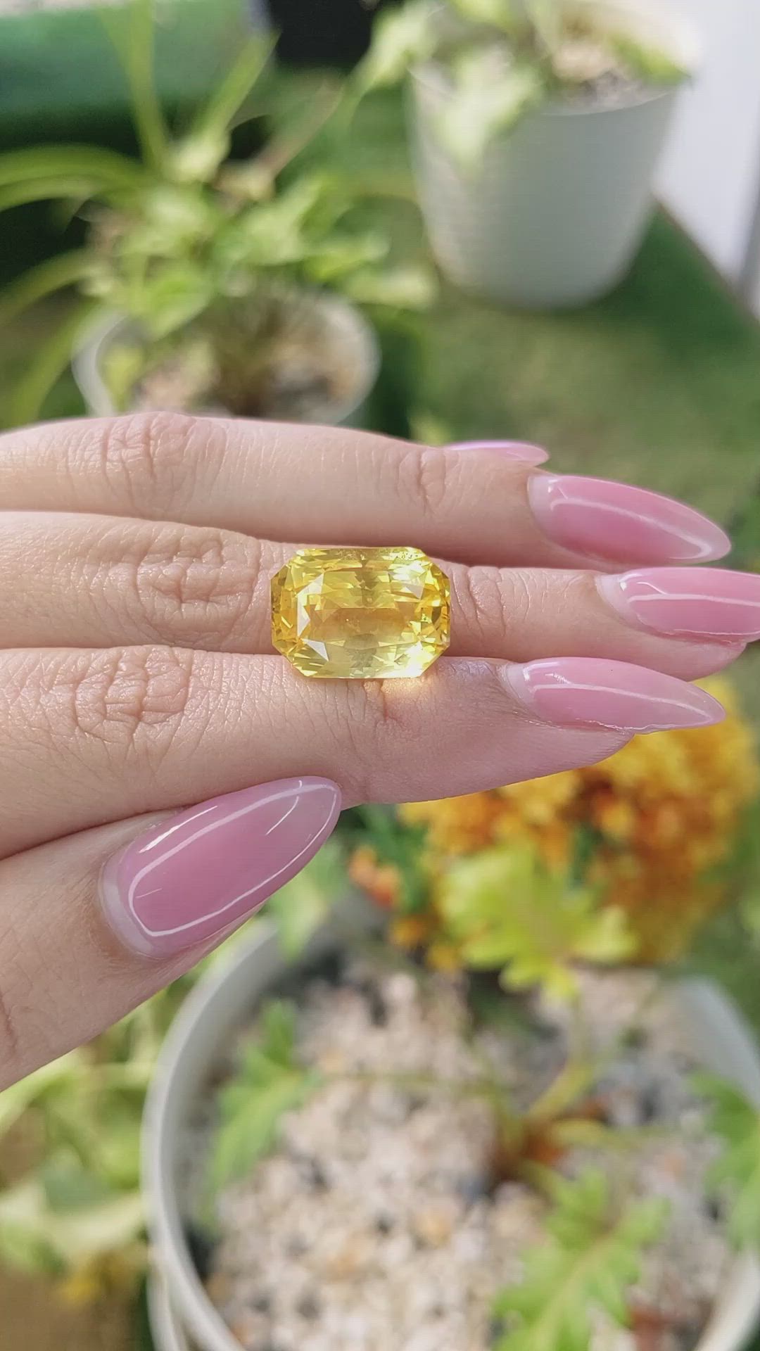 18.20 Ct. Yellow Sapphire from Ceylon (Sri Lanka) Size Video
