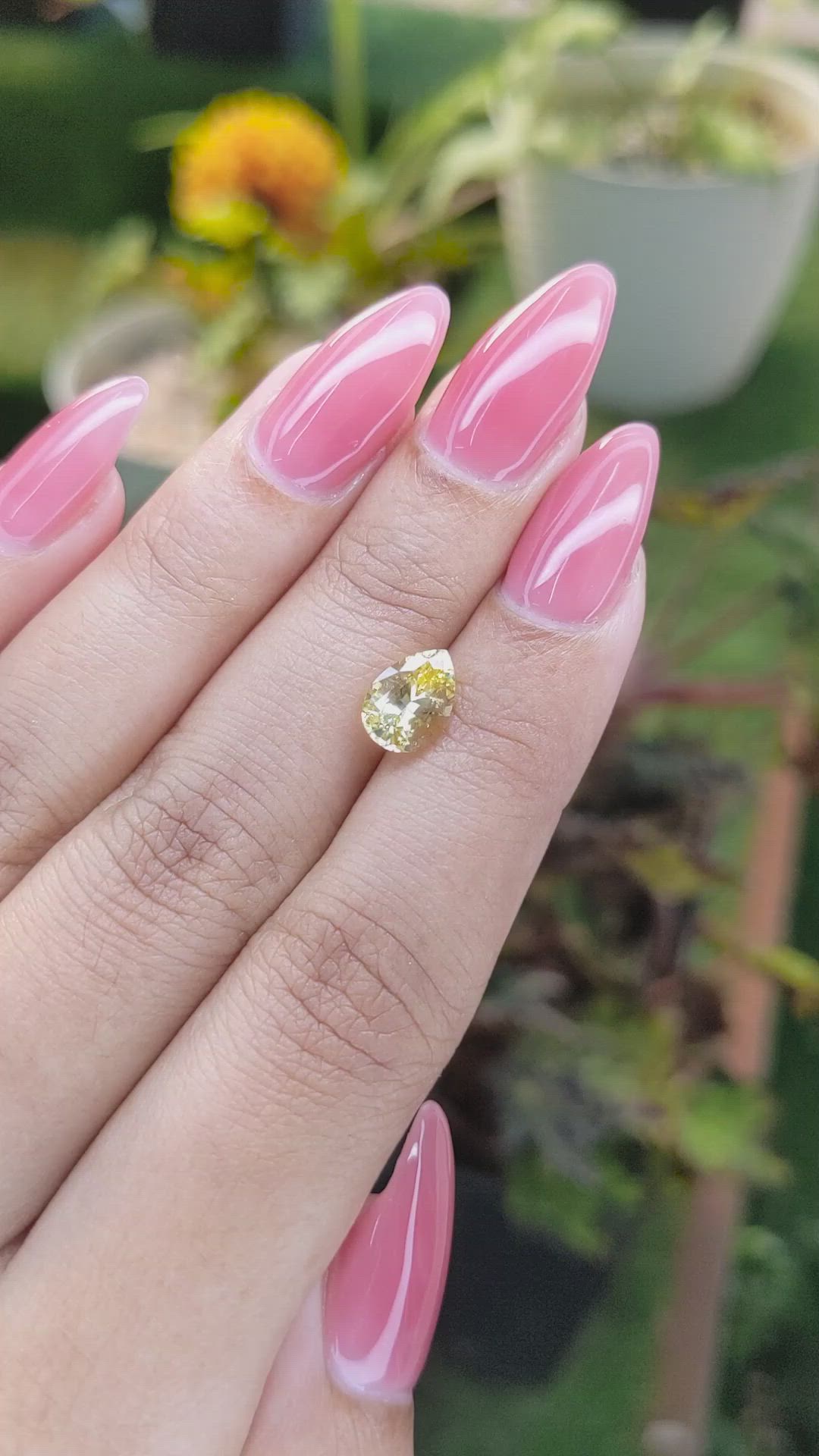 1.75 Ct. Yellow Sapphire from Ceylon (Sri Lanka) Size Video