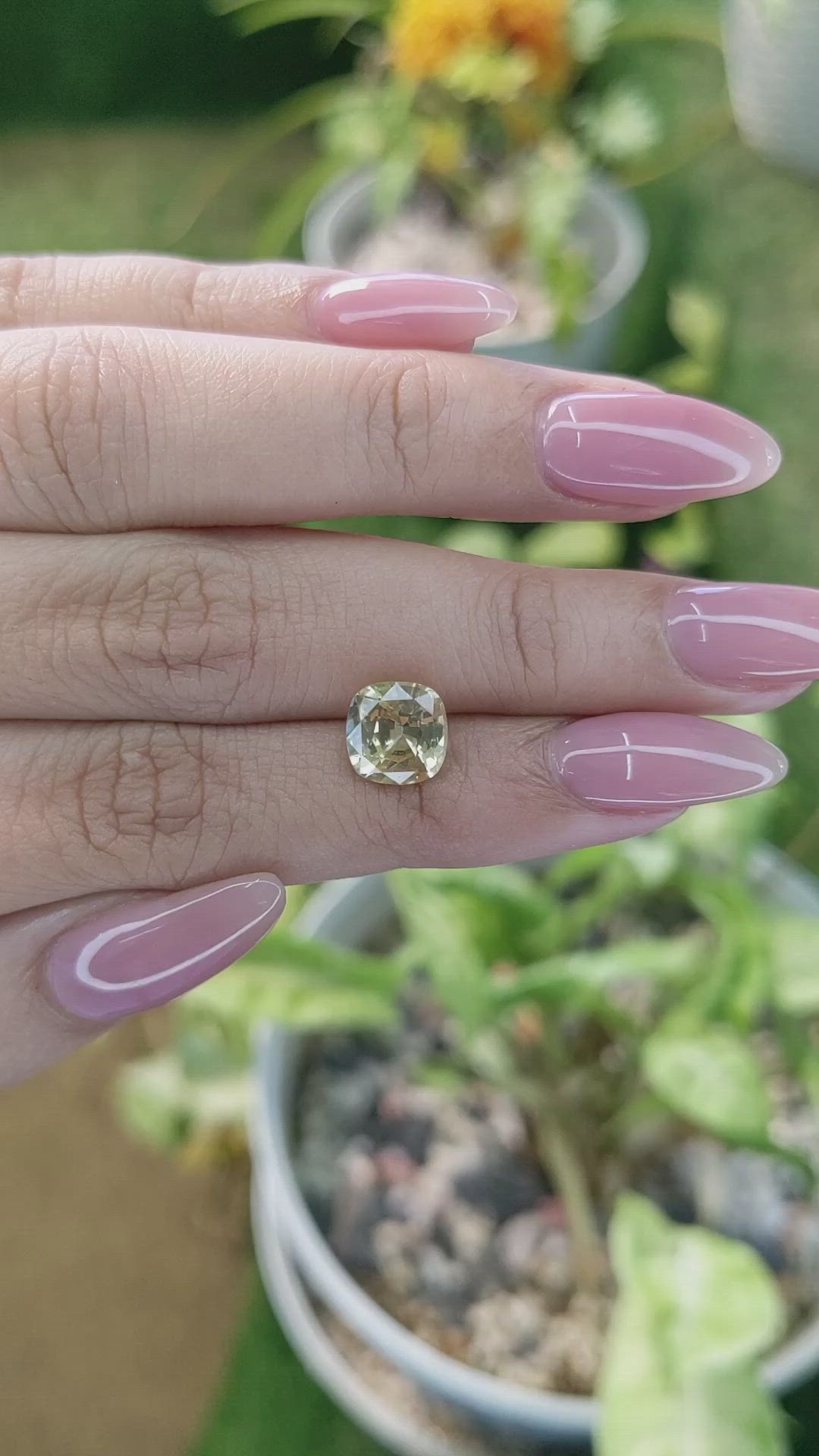2.67 Ct. Yellow Sapphire from Ceylon (Sri Lanka) Size Video