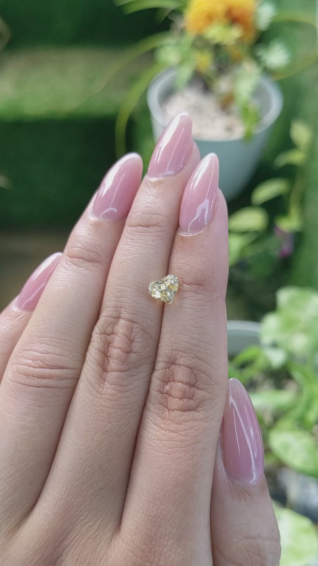 1.33 Ct. Yellow Sapphire from Ceylon (Sri Lanka) Size Video