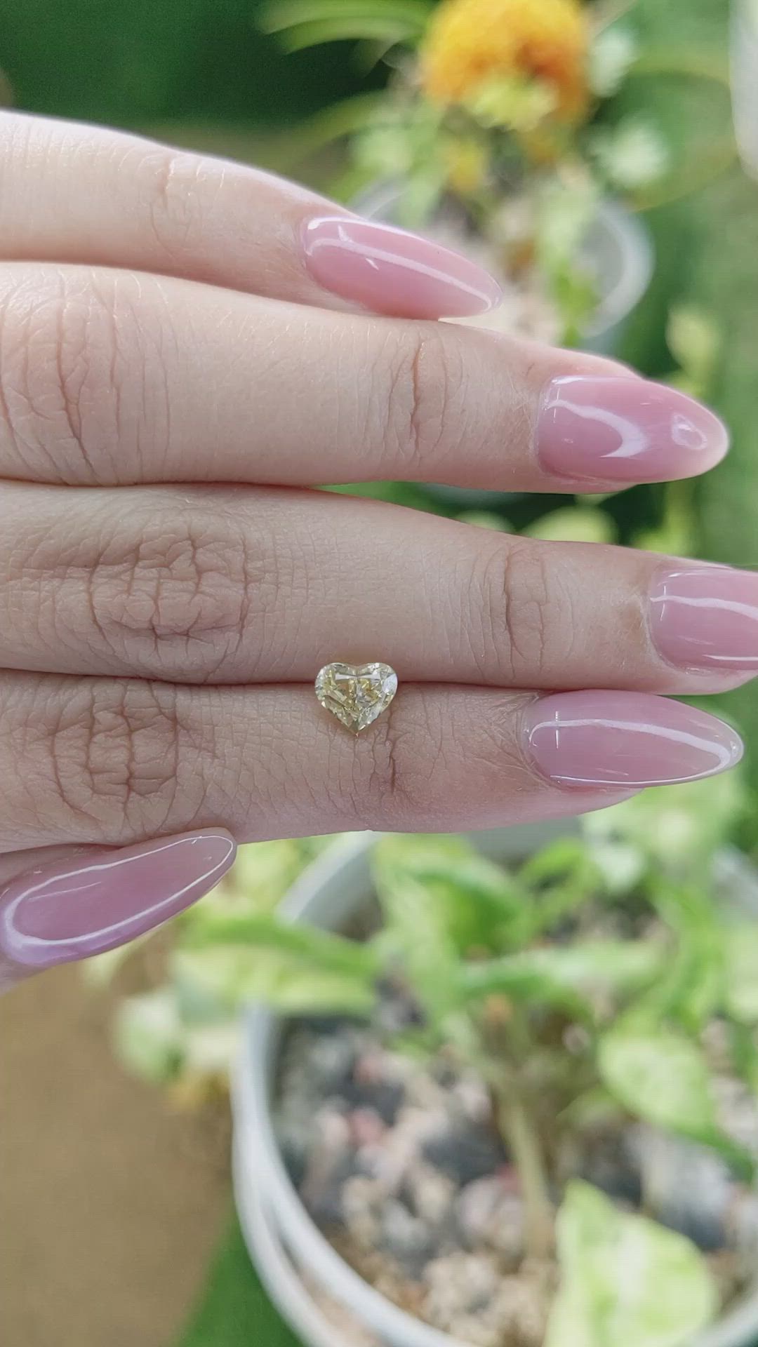 1.33 Ct. Yellow Sapphire from Ceylon (Sri Lanka) Size Video