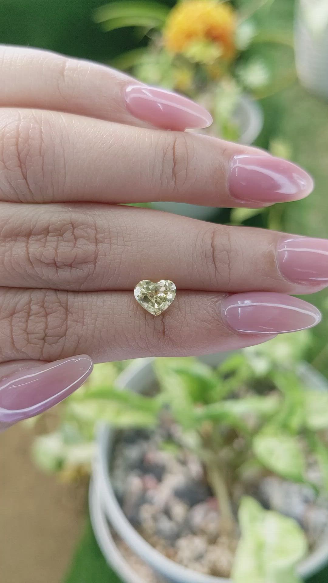 1.37 Ct. Yellow Sapphire from Ceylon (Sri Lanka) Size Video