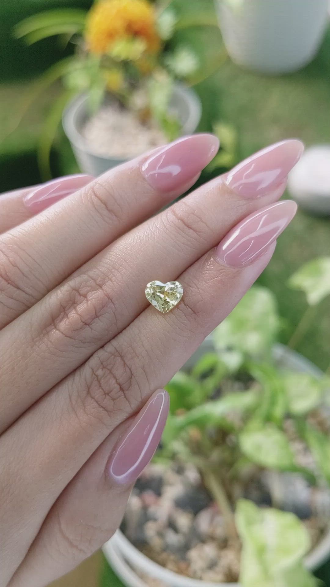 1.37 Ct. Yellow Sapphire from Ceylon (Sri Lanka) Size Video