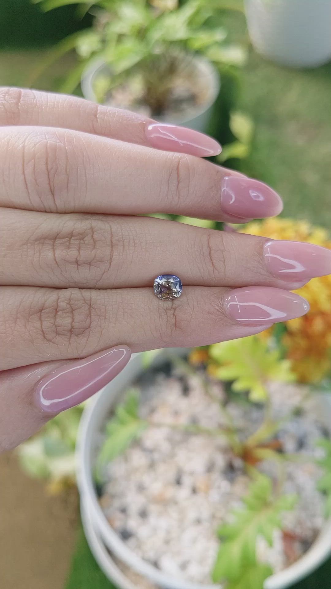 1.09 Ct. Bi Color Sapphire from Ceylon (Sri Lanka) Size Video