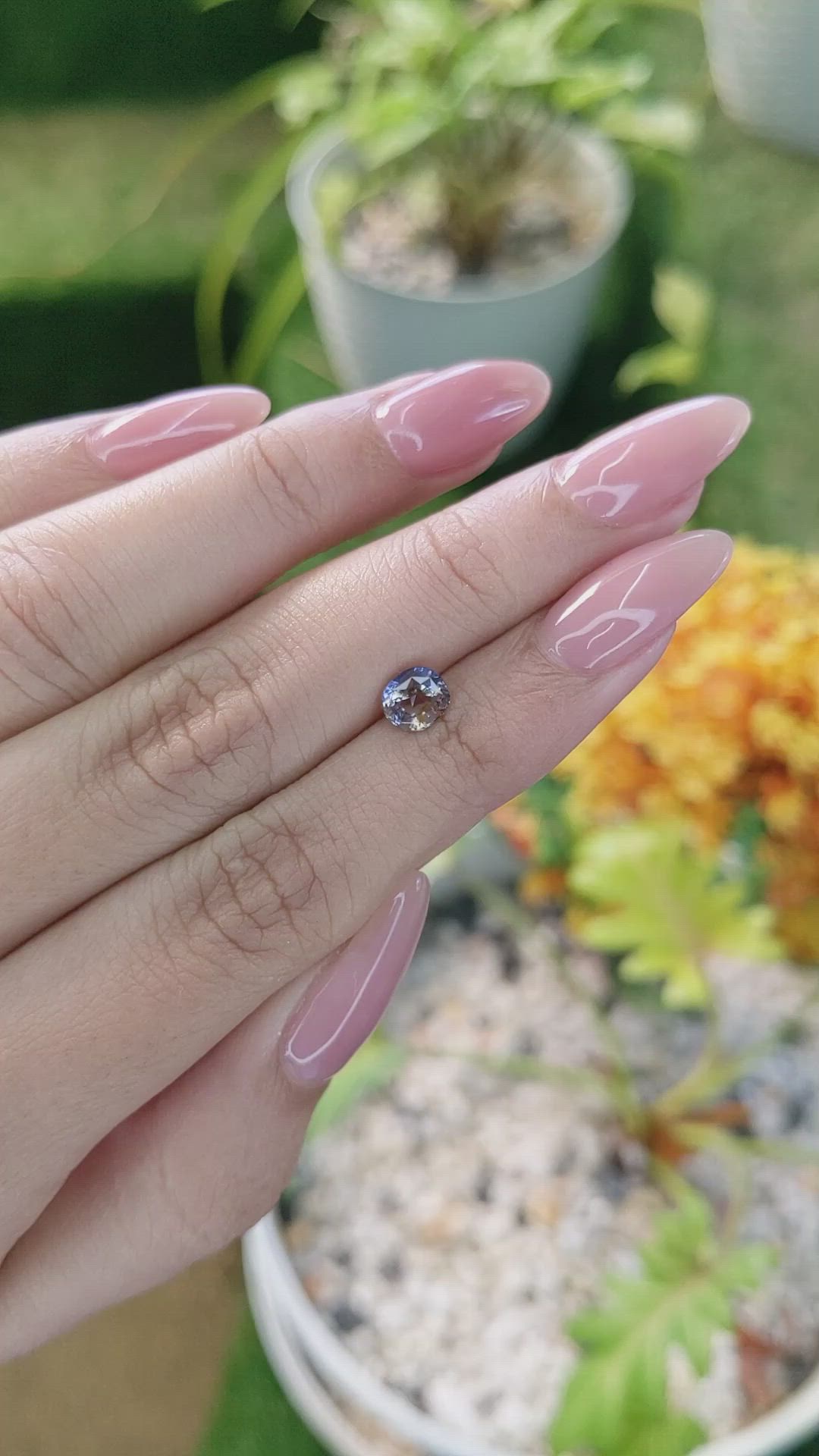 1.09 Ct. Bi Color Sapphire from Ceylon (Sri Lanka) Size Video