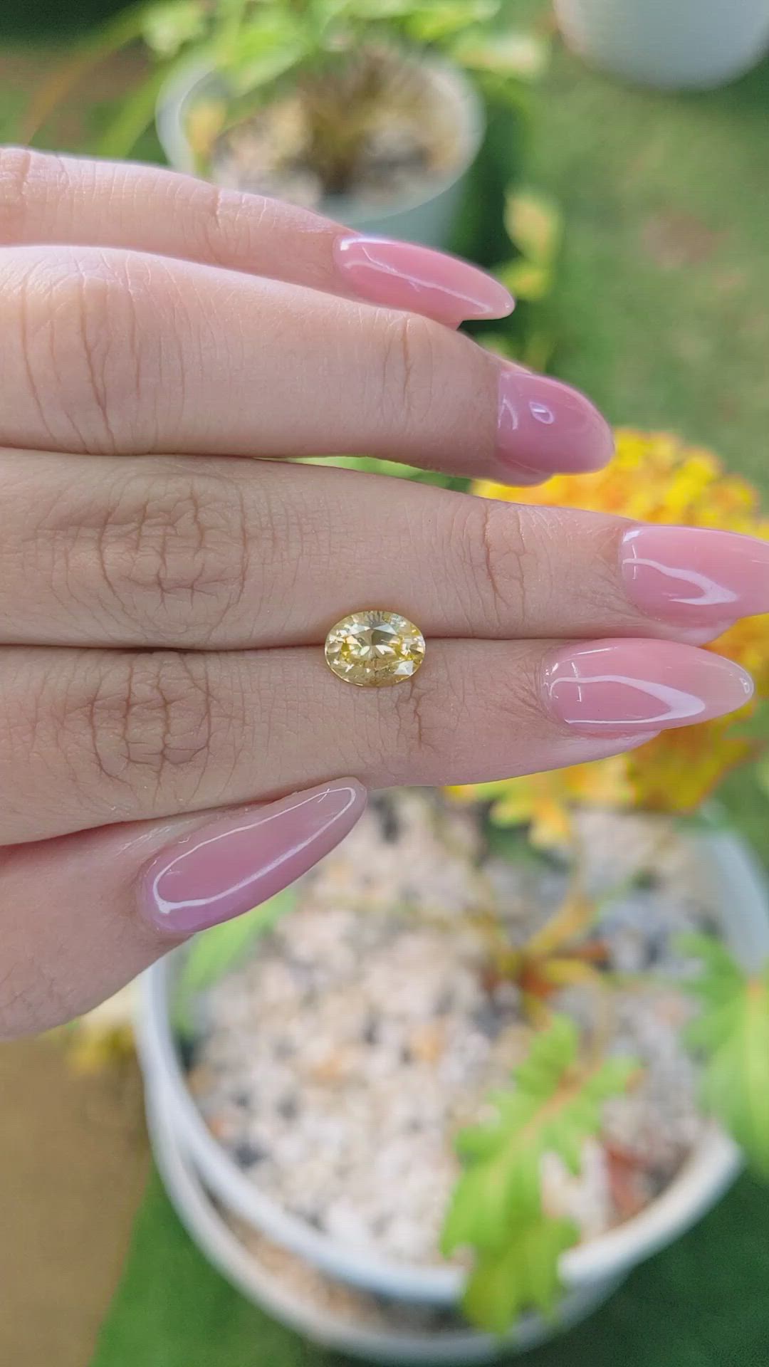 1.91 Ct. Yellow Sapphire from Ceylon (Sri Lanka) Size Video