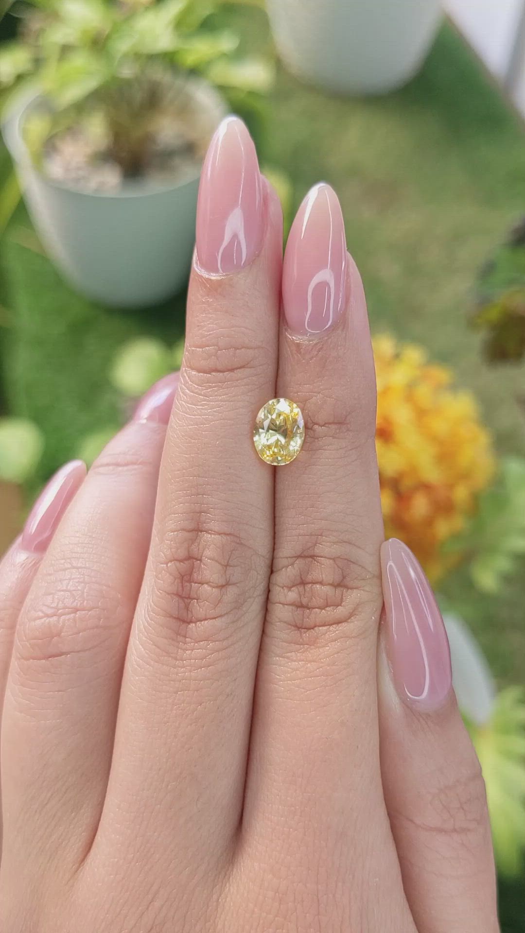 1.91 Ct. Yellow Sapphire from Ceylon (Sri Lanka) Size Video