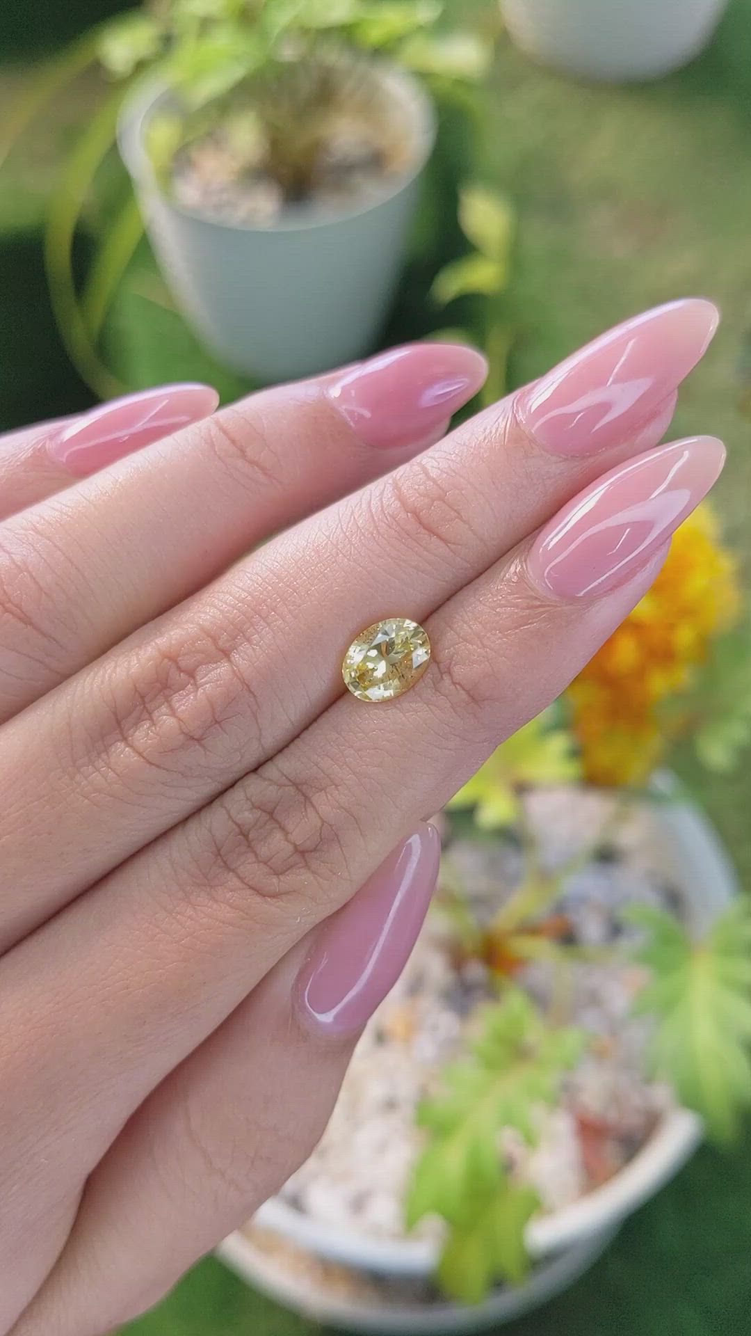 1.91 Ct. Yellow Sapphire from Ceylon (Sri Lanka) Size Video