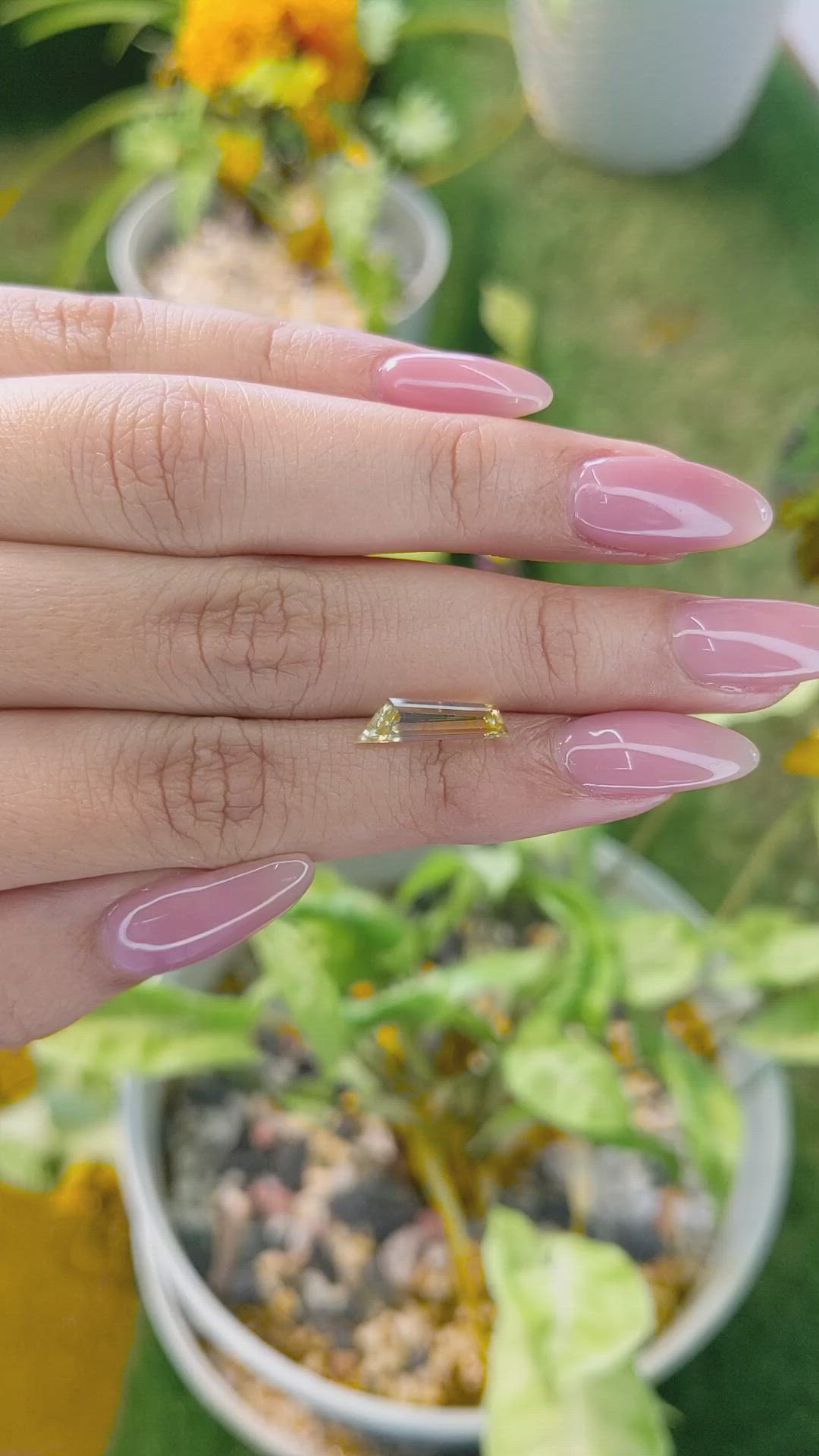 2.37 Ct. Bi Color Sapphire from Ceylon (Sri Lanka) Size Video