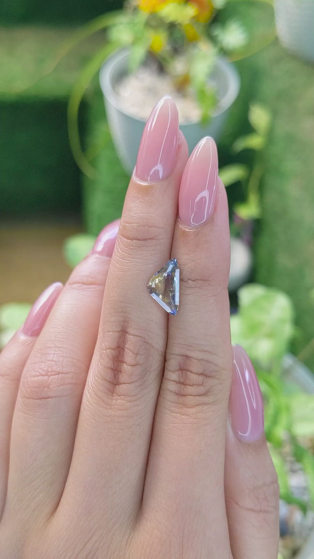 1.98 Ct. Bi Color Sapphire from Ceylon (Sri Lanka) Size Video