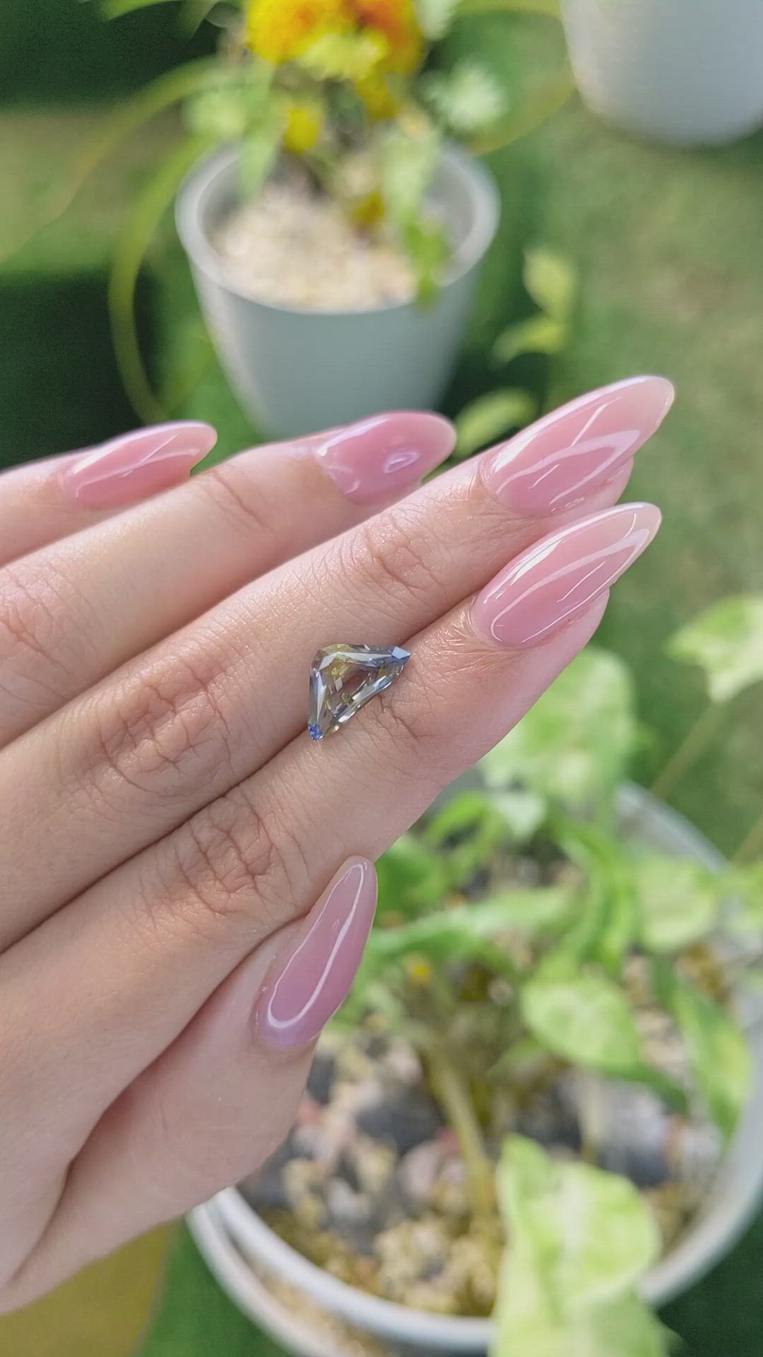 1.98 Ct. Bi Color Sapphire from Ceylon (Sri Lanka) Size Video