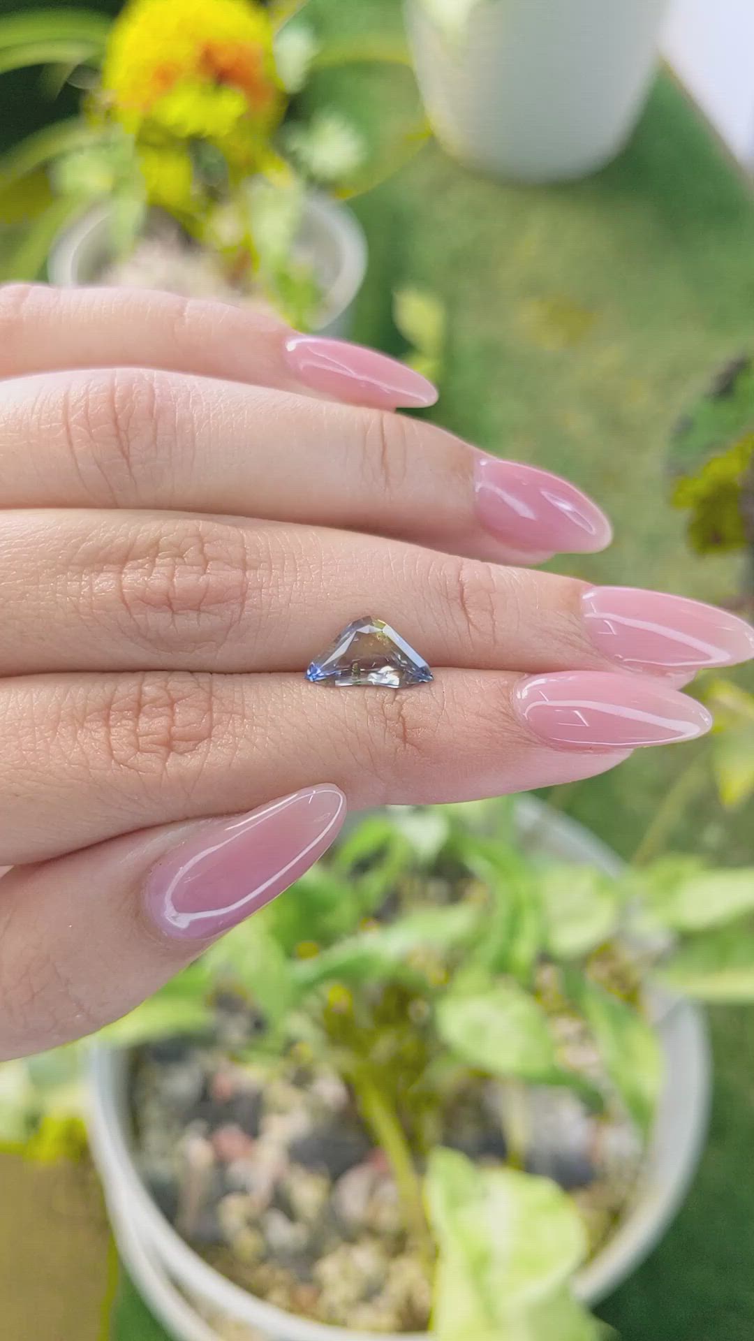 1.98 Ct. Bi Color Sapphire from Ceylon (Sri Lanka) Size Video