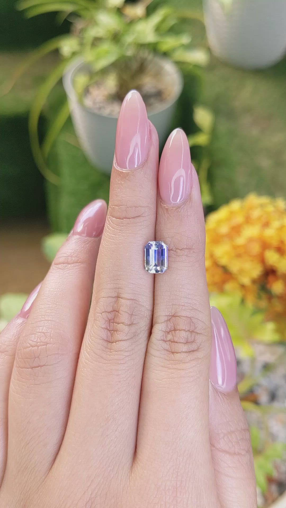 1.95 Ct. Bi Color Sapphire from Ceylon (Sri Lanka) Size Video