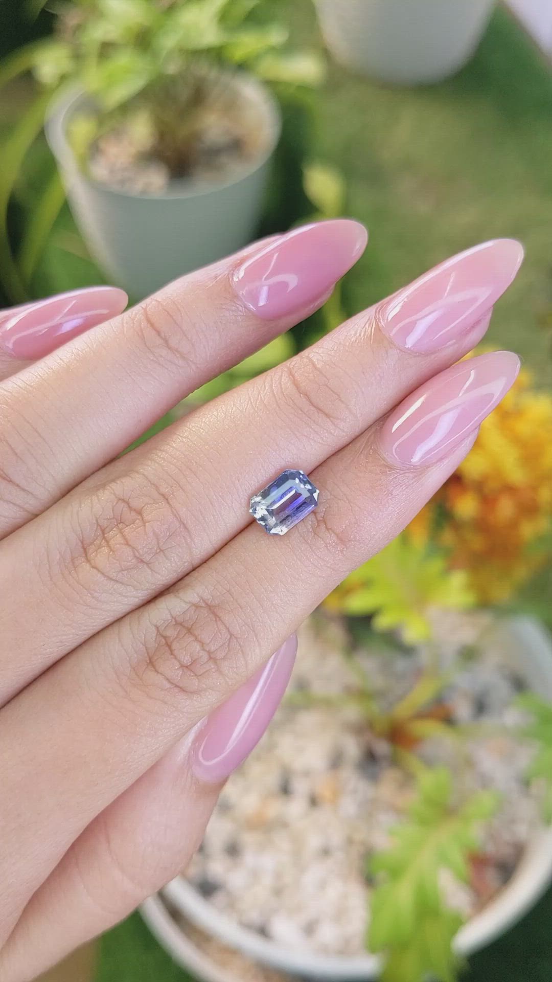1.95 Ct. Bi Color Sapphire from Ceylon (Sri Lanka) Size Video