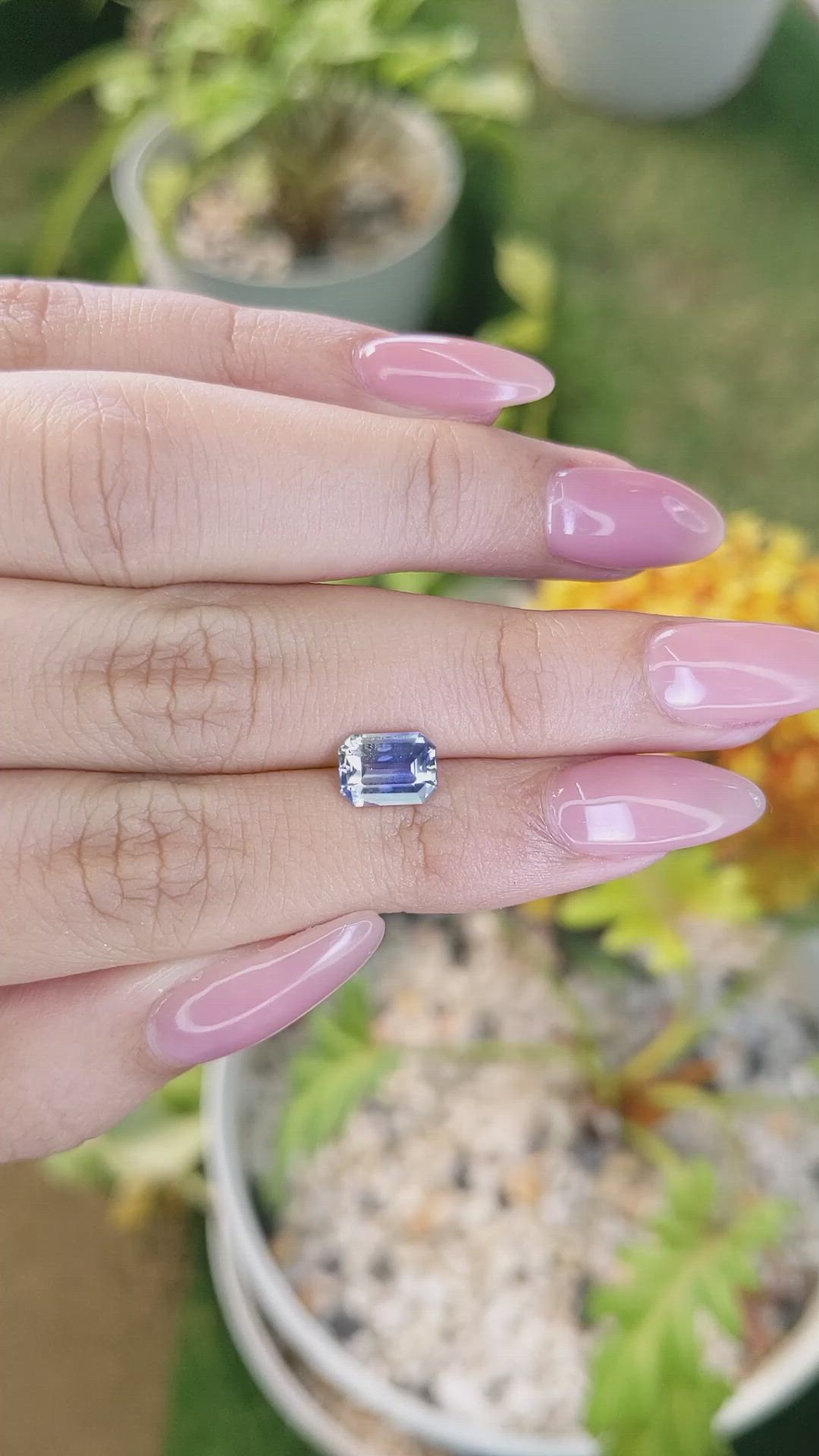 1.95 Ct. Bi Color Sapphire from Ceylon (Sri Lanka) Size Video
