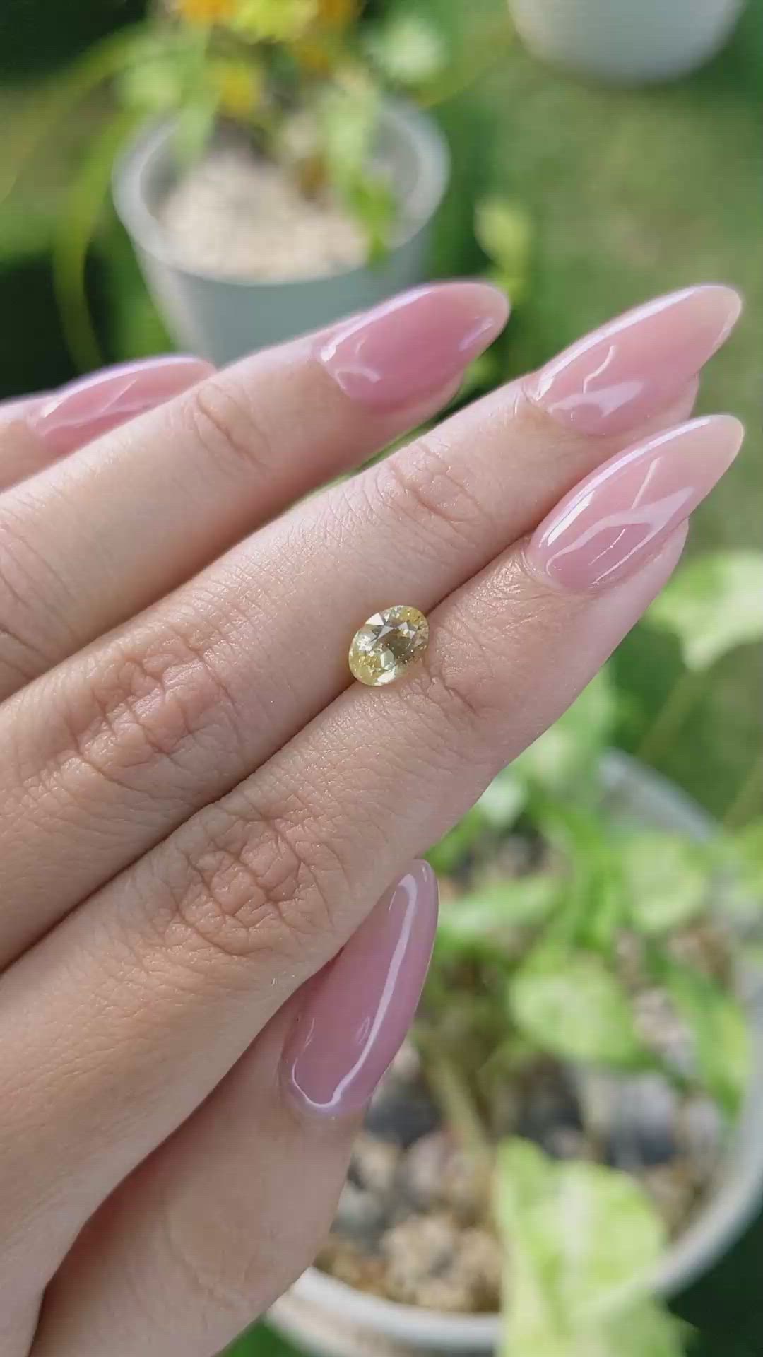 1.35 Ct. Yellow Sapphire from Ceylon (Sri Lanka) Size Video