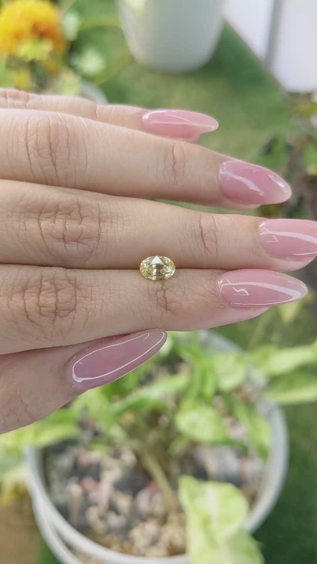 1.35 Ct. Yellow Sapphire from Ceylon (Sri Lanka) Size Video