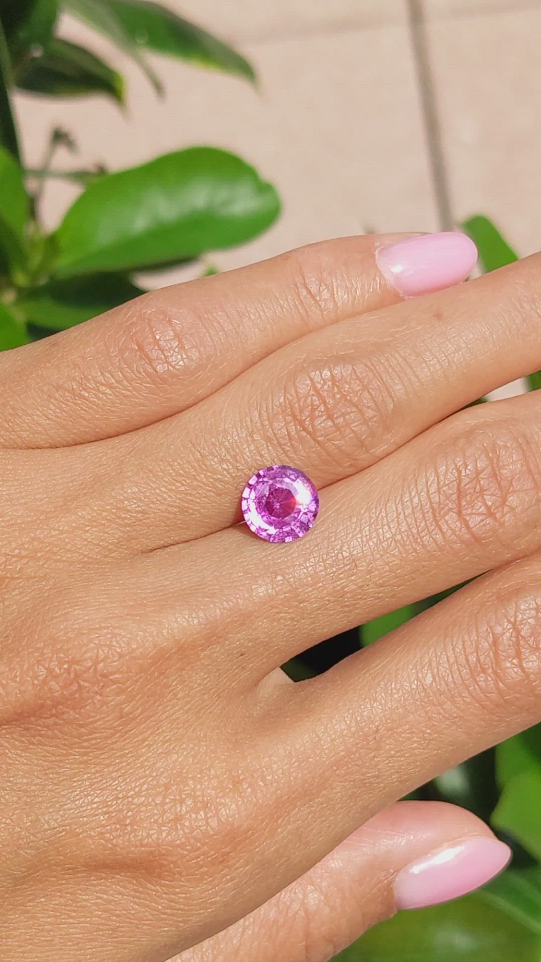 2.53 Ct. Purplish Pink Sapphire from Ceylon (Sri Lanka) Size Video