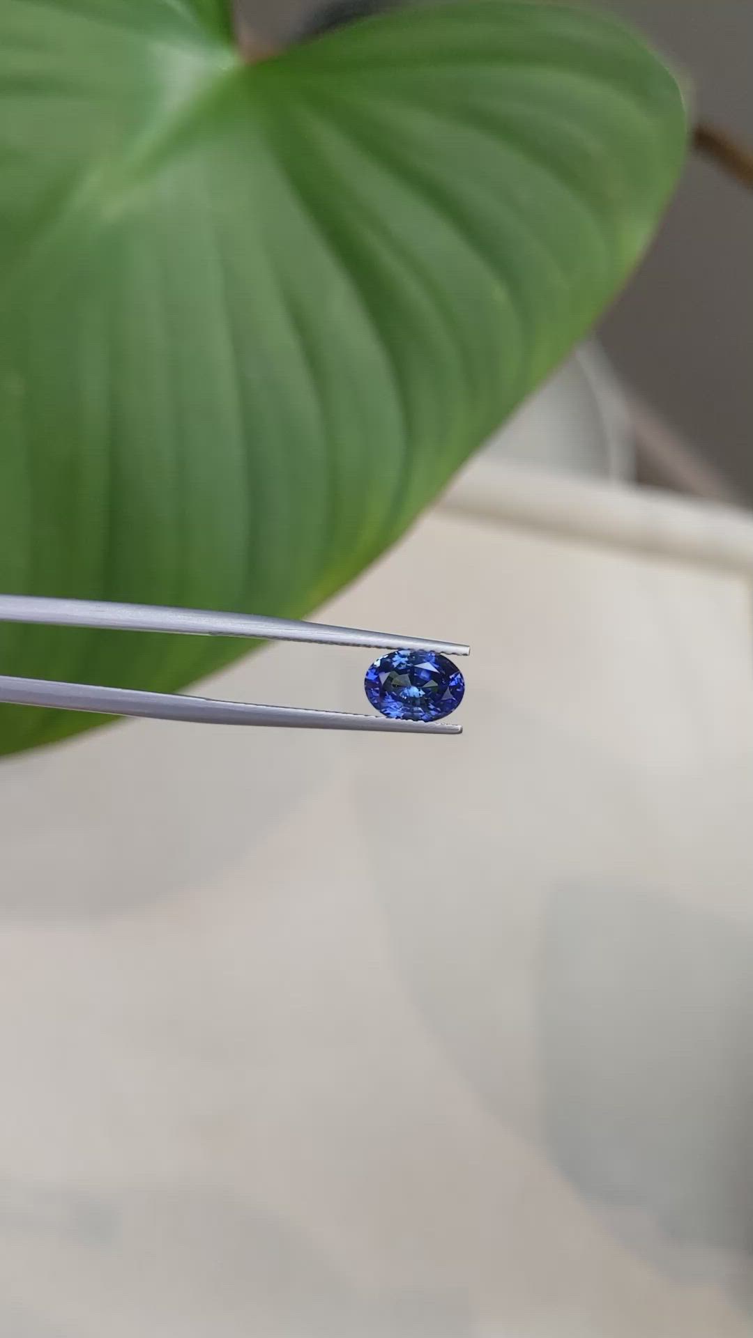 1.56 Ct. Blue Sapphire from Ceylon (Sri Lanka) Size Video