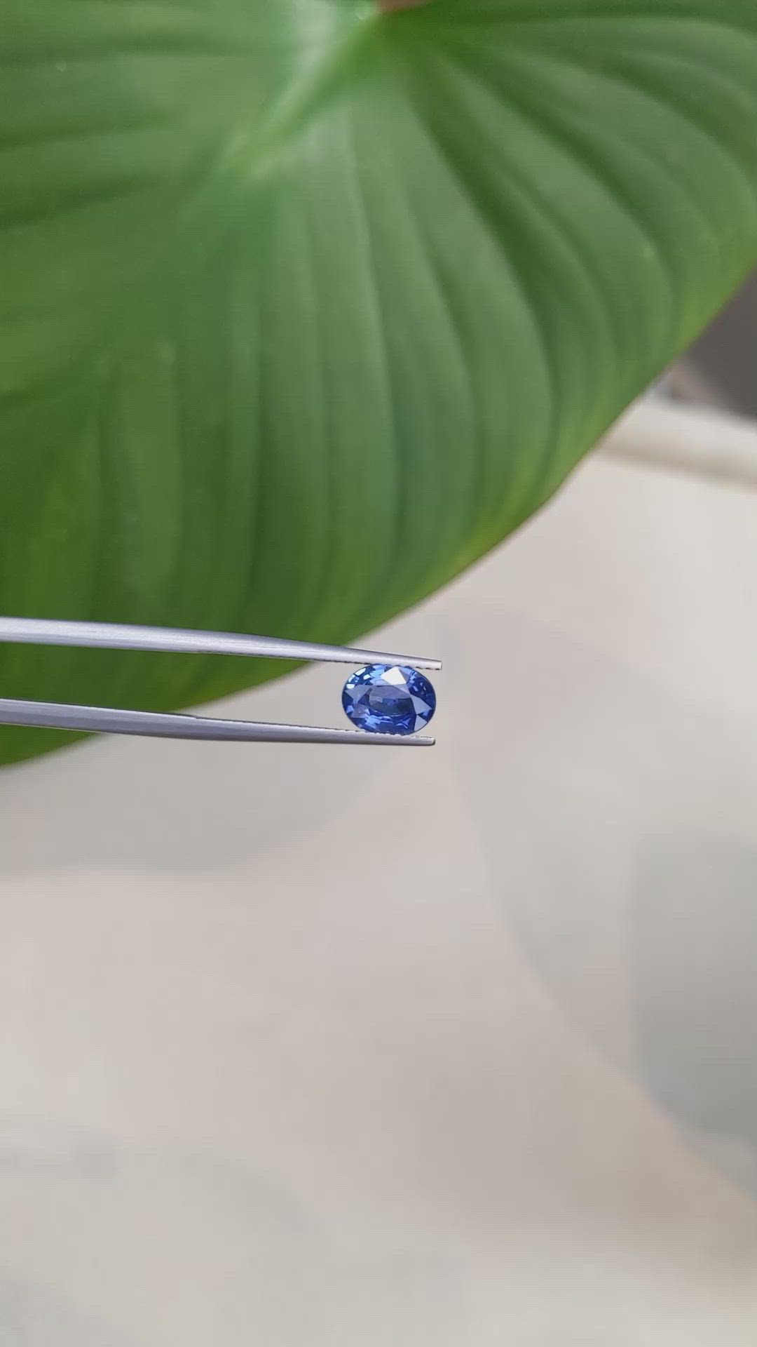 1.39 Ct. Blue Sapphire from Ceylon (Sri Lanka) Size Video