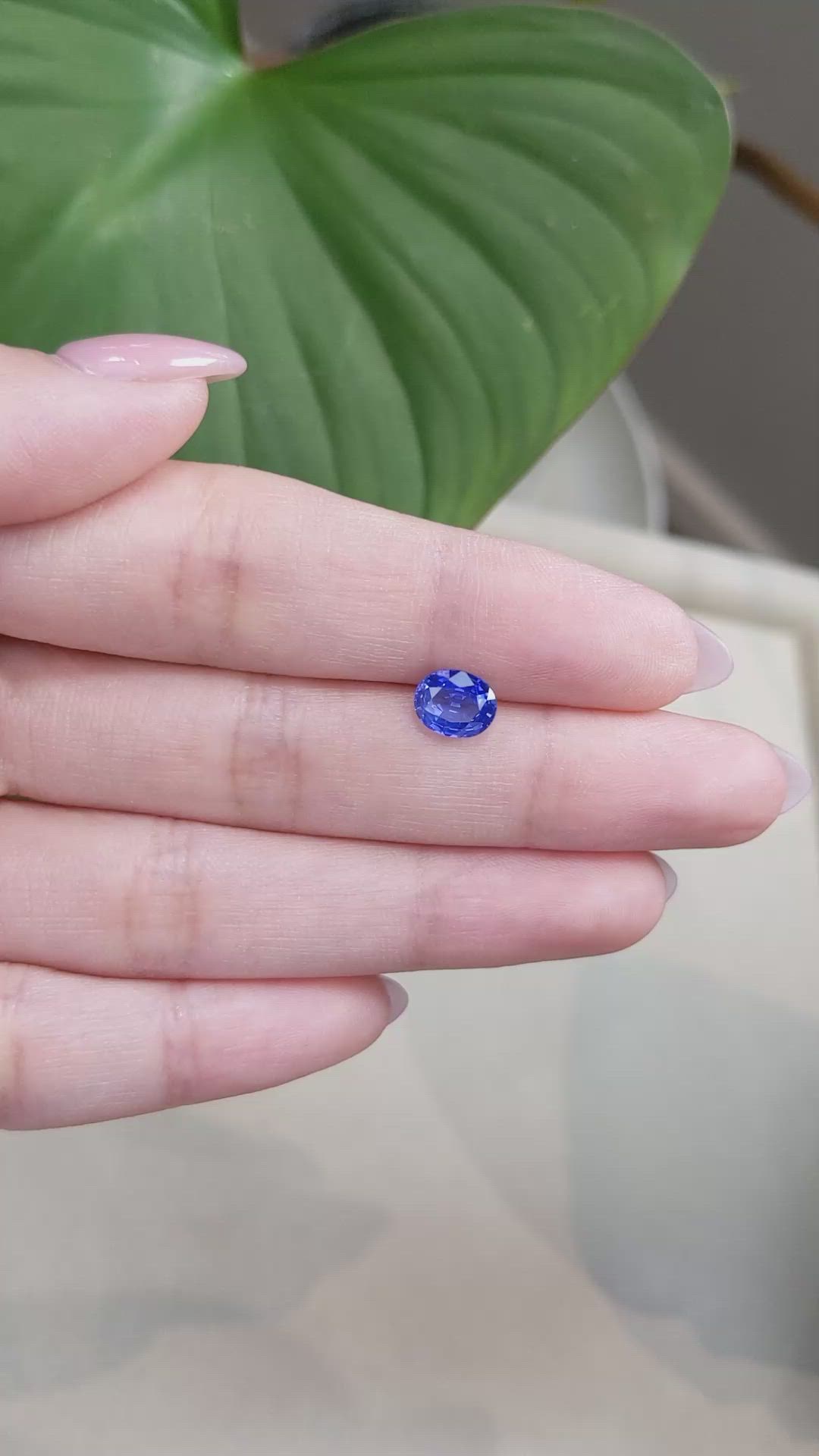 1.58 Ct. Blue Sapphire from Ceylon (Sri Lanka) Size Video