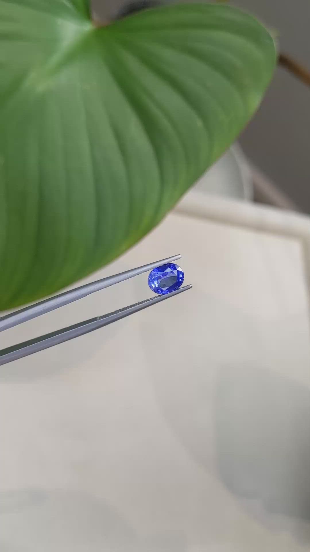 1.58 Ct. Blue Sapphire from Ceylon (Sri Lanka) Size Video
