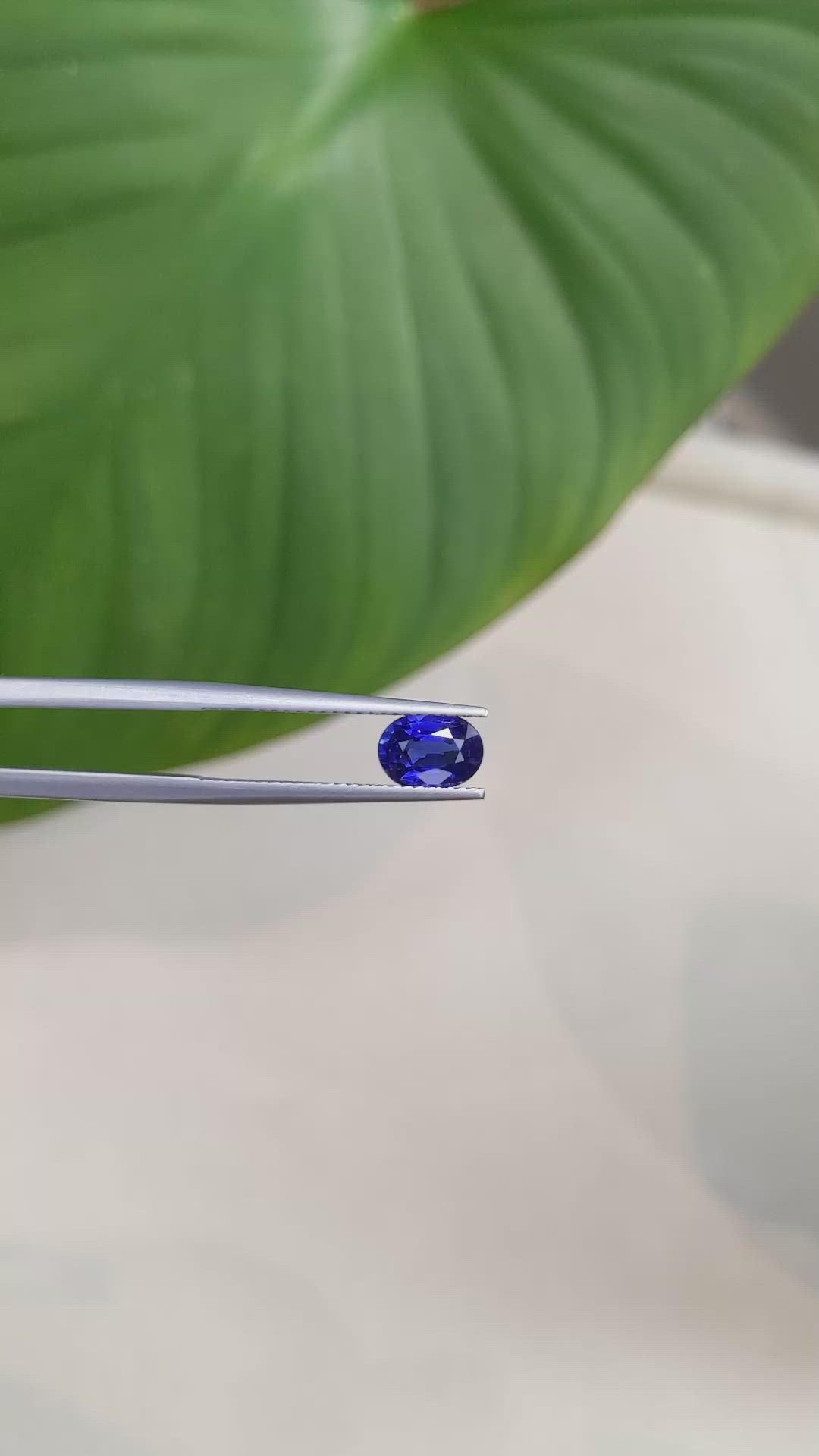1.33 Ct. Blue Sapphire from Ceylon (Sri Lanka) Size Video