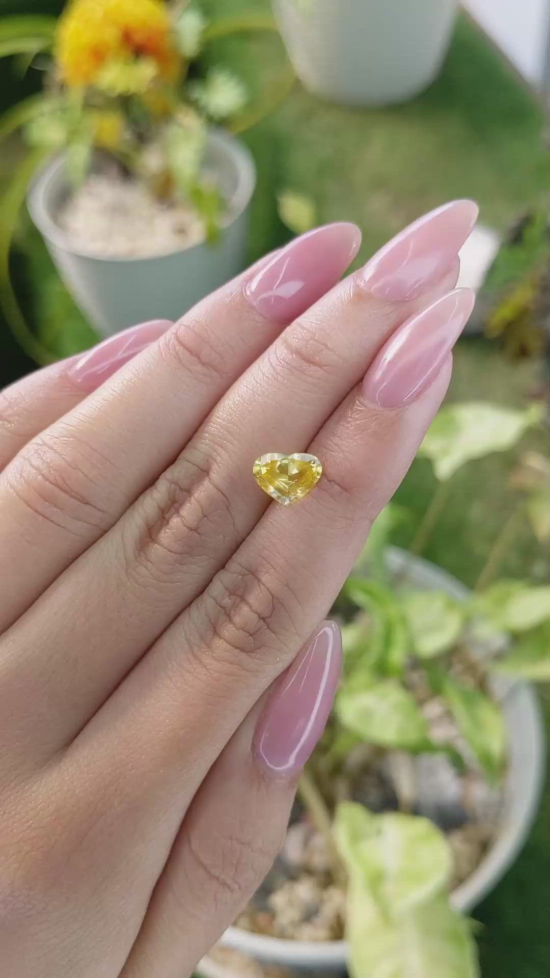 1.54 Ct. Yellow Sapphire from Ceylon (Sri Lanka) Size Video