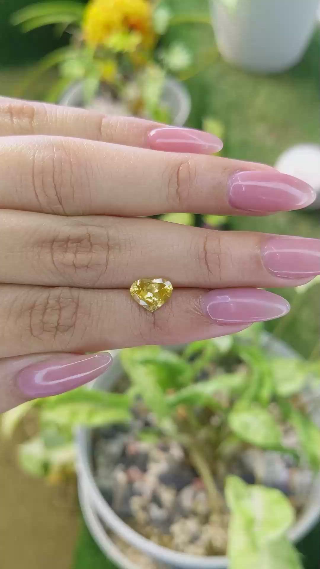 1.54 Ct. Yellow Sapphire from Ceylon (Sri Lanka) Size Video