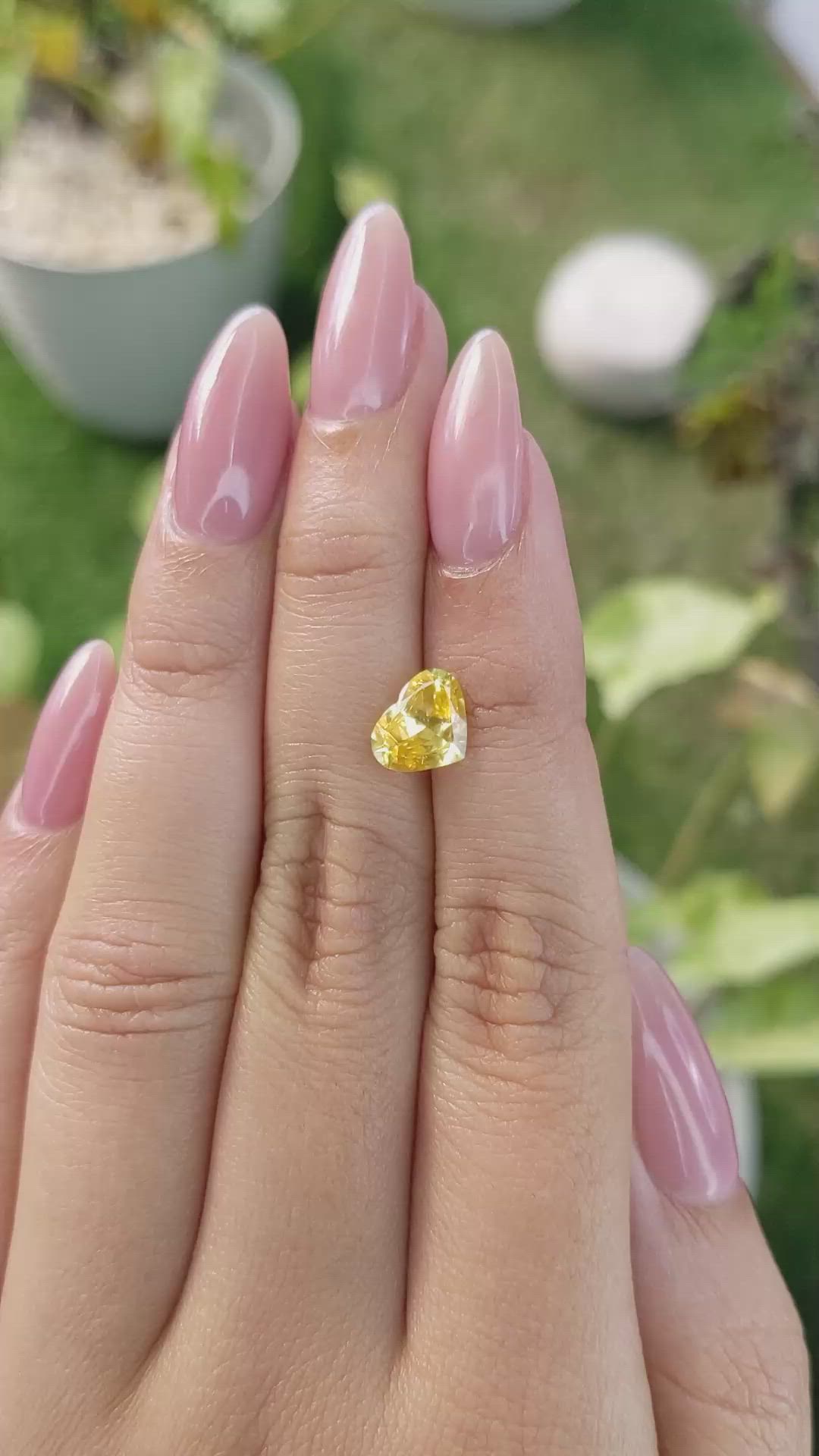 1.54 Ct. Yellow Sapphire from Ceylon (Sri Lanka) Size Video