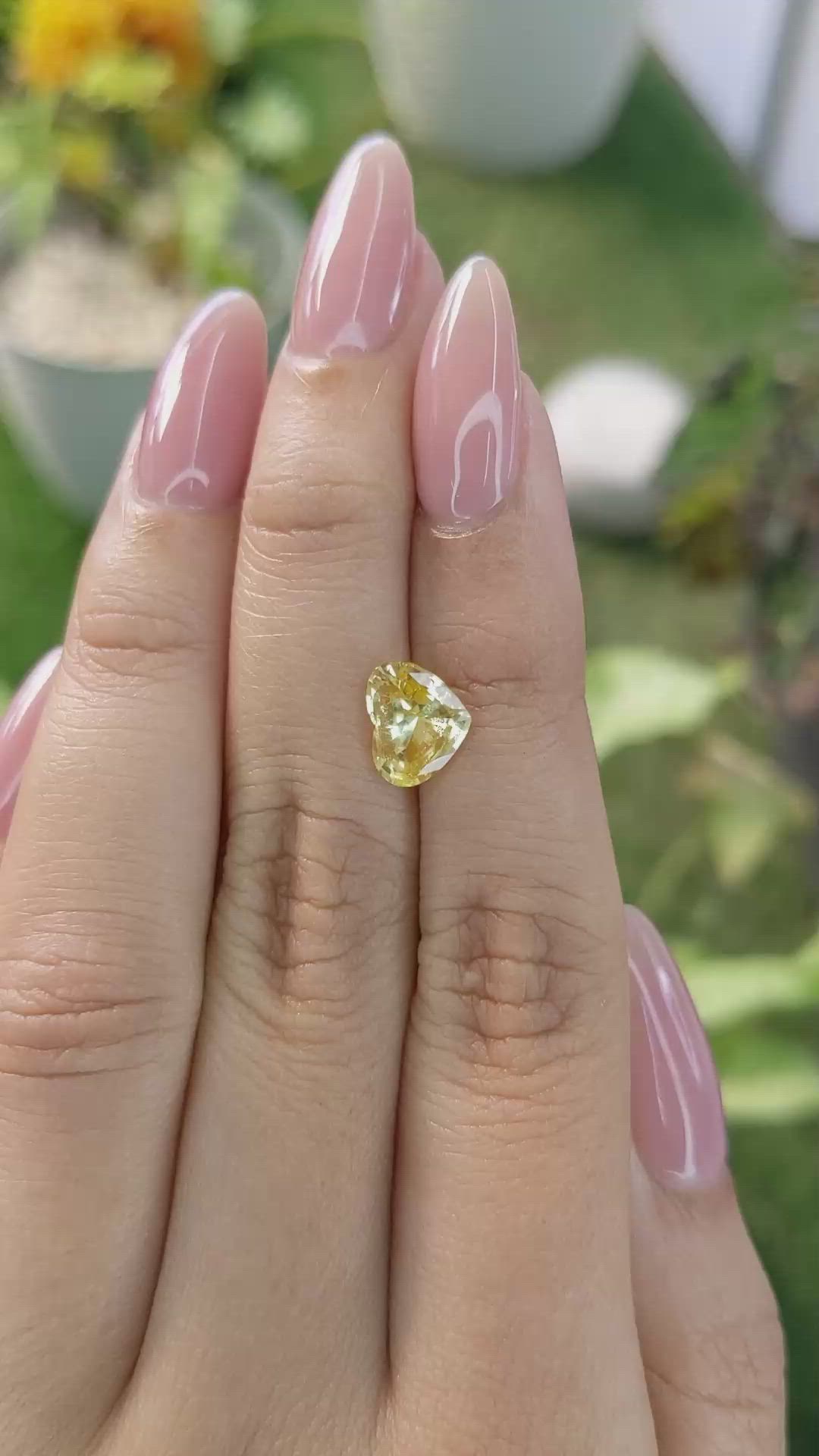 1.89 Ct. Yellow Sapphire from Ceylon (Sri Lanka) Size Video