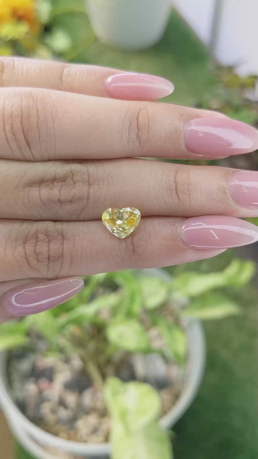 1.89 Ct. Yellow Sapphire from Ceylon (Sri Lanka) Size Video