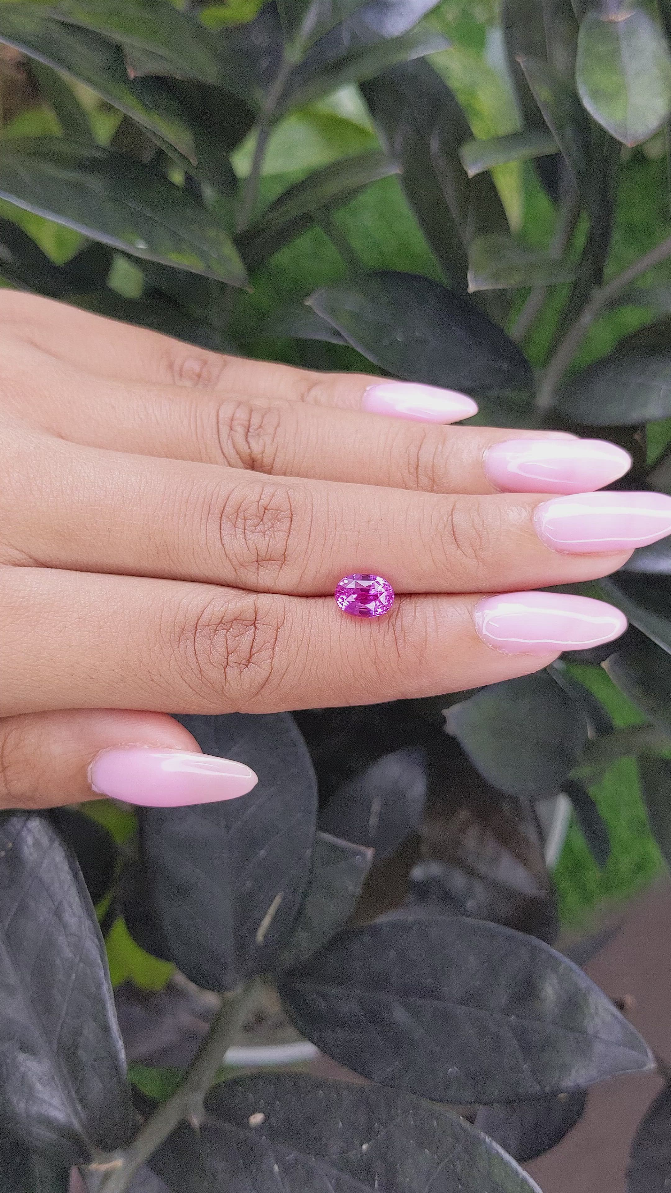 1.87 Ct. Pink Sapphire from Madagascar Size Video