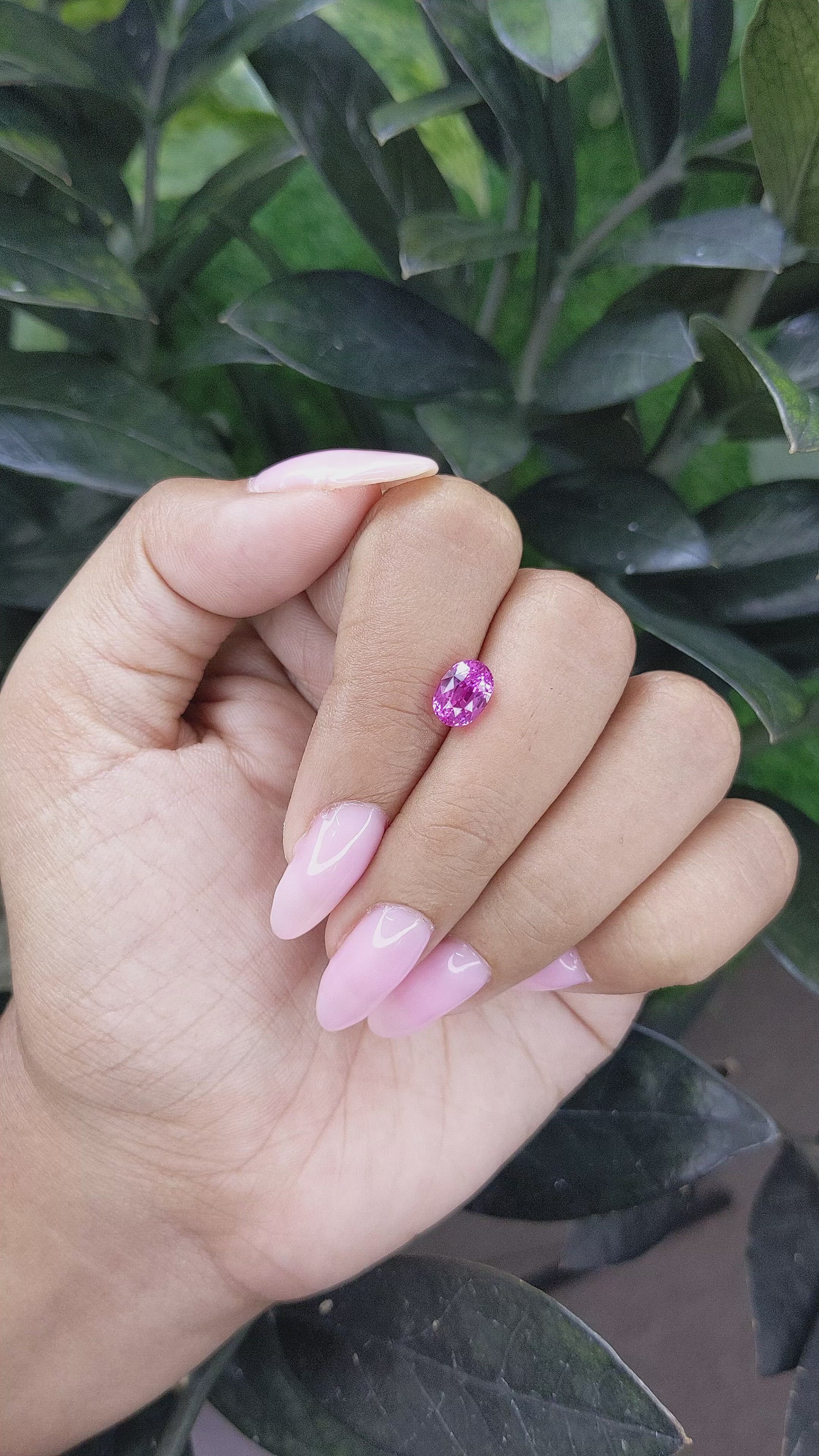 1.87 Ct. Pink Sapphire from Madagascar Size Video