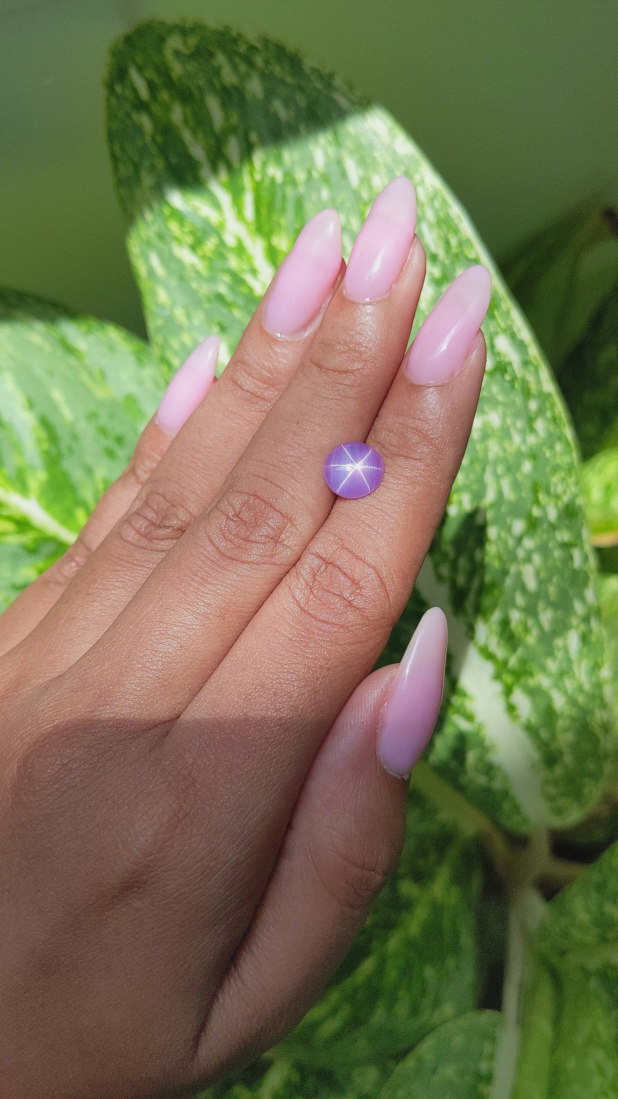 2.78 Ct. Pink Star Sapphire from Ceylon (Sri Lanka) Size Video