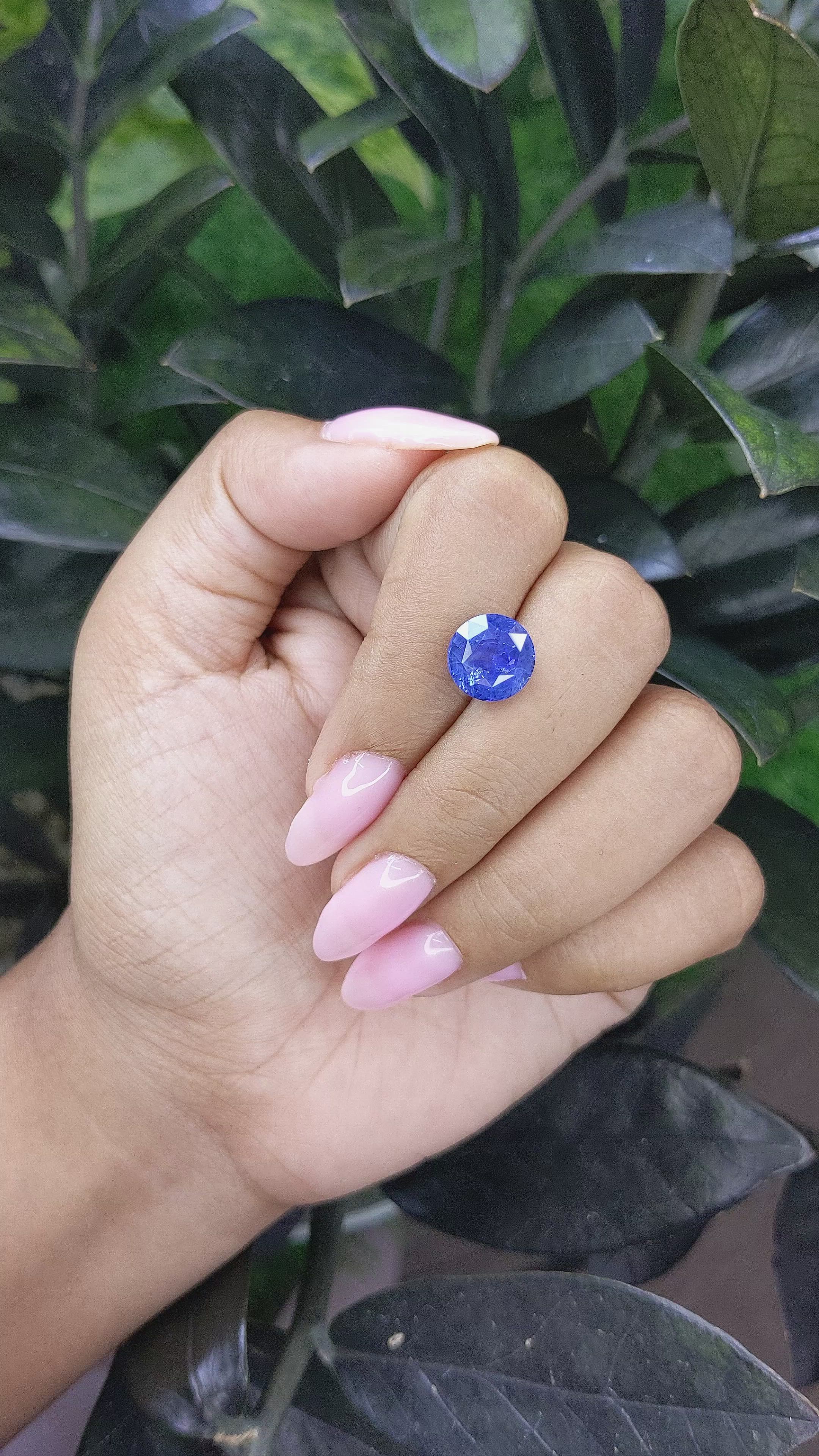 4.53 Ct. Blue Sapphire from Ceylon (Sri Lanka) Size Video