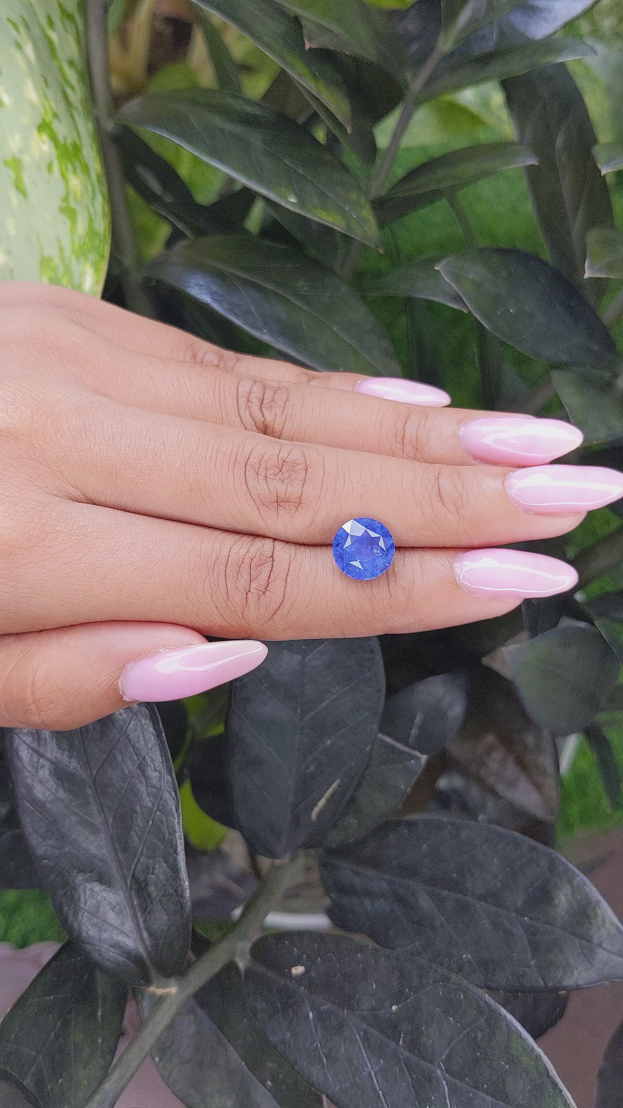 4.53 Ct. Blue Sapphire from Ceylon (Sri Lanka) Size Video