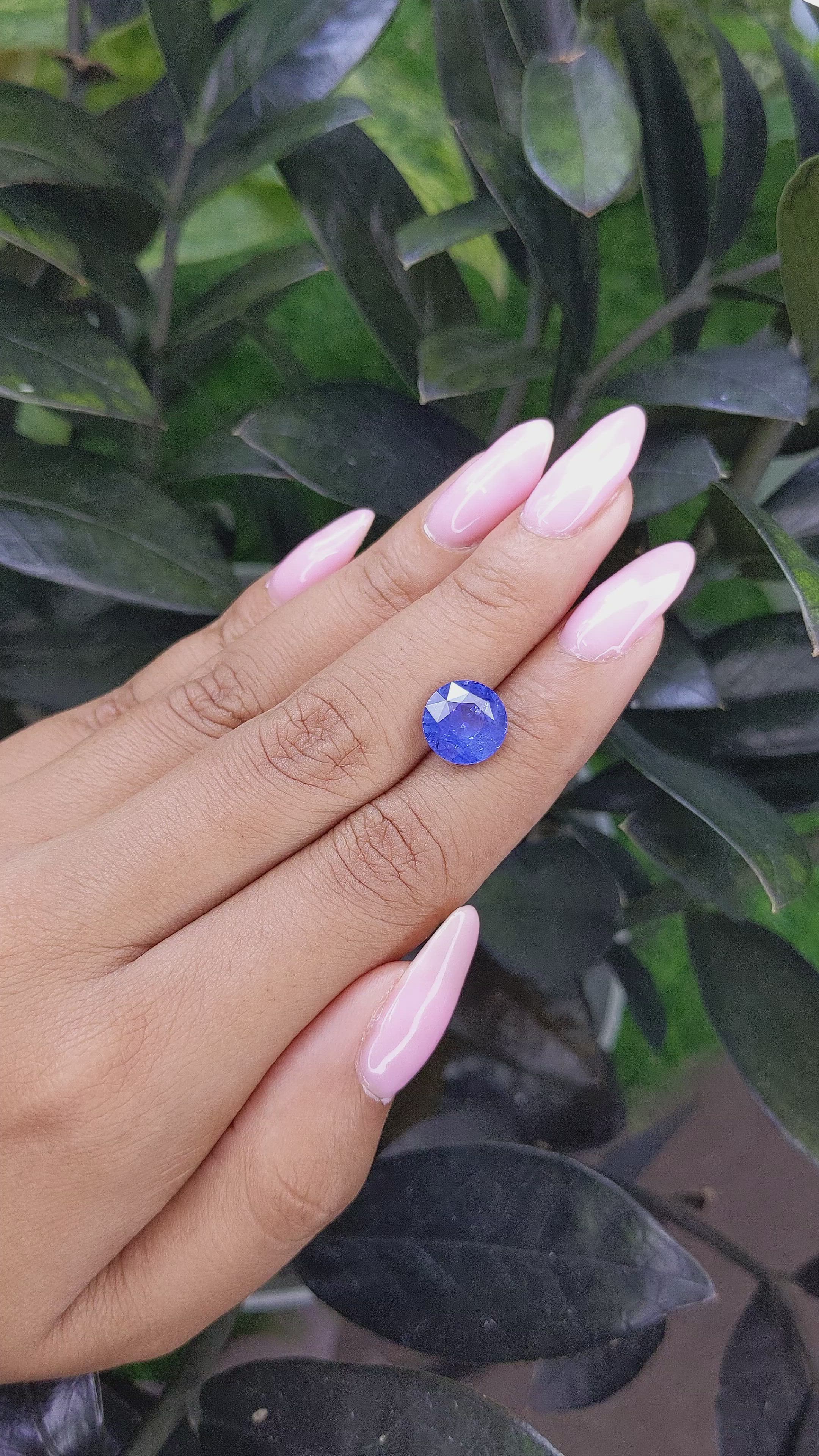 4.53 Ct. Blue Sapphire from Ceylon (Sri Lanka) Size Video