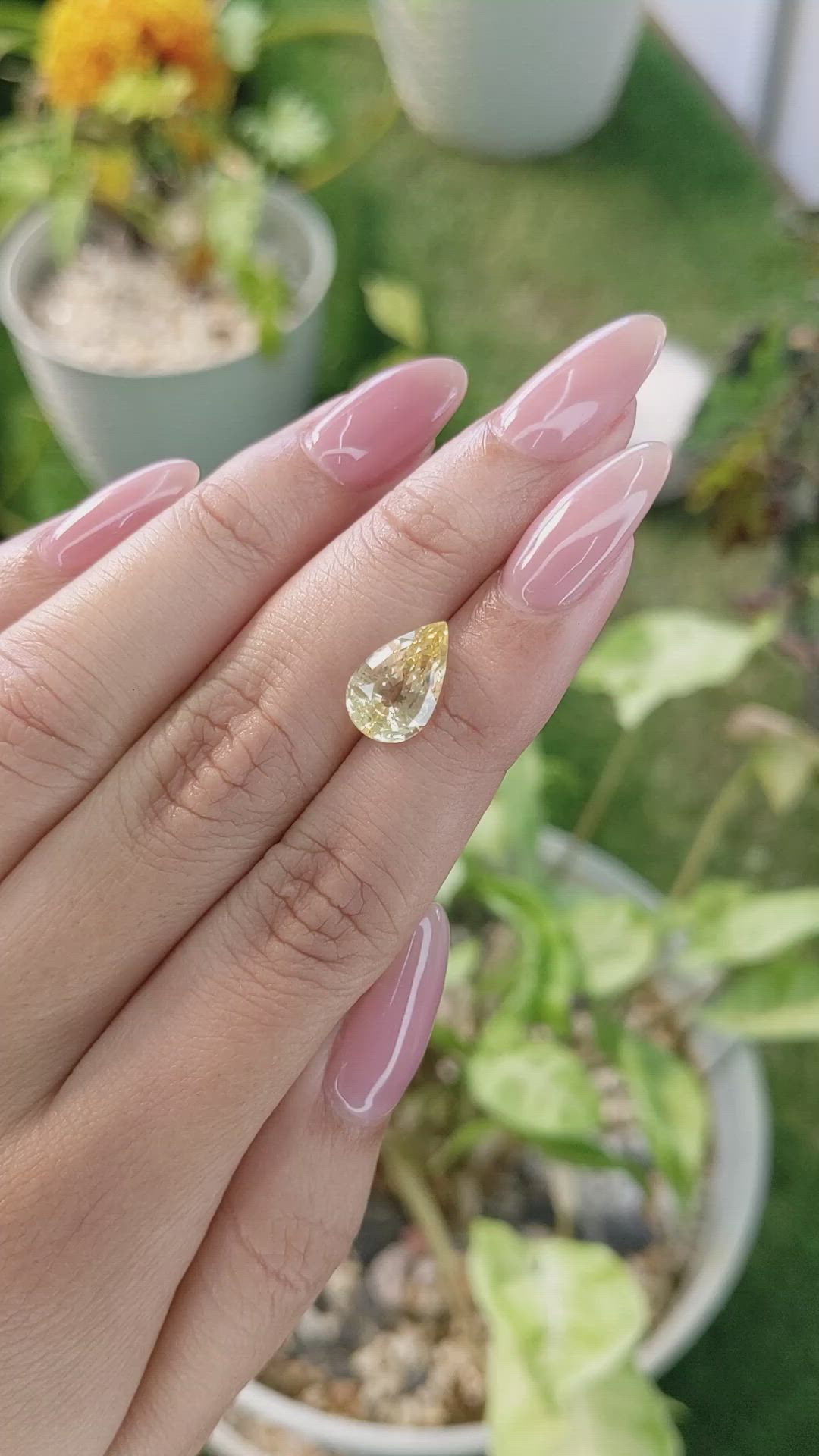 4.12 Ct. Yellow Sapphire from Ceylon (Sri Lanka) Size Video