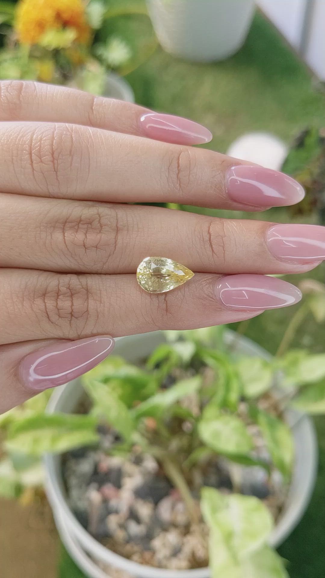 4.12 Ct. Yellow Sapphire from Ceylon (Sri Lanka) Size Video