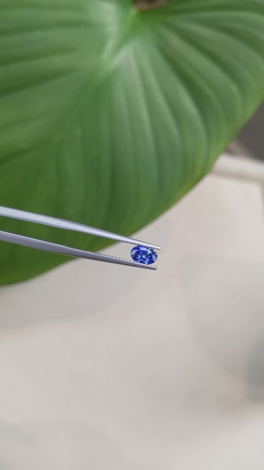 0.50 Ct. Blue Sapphire from Ceylon (Sri Lanka) Size Video