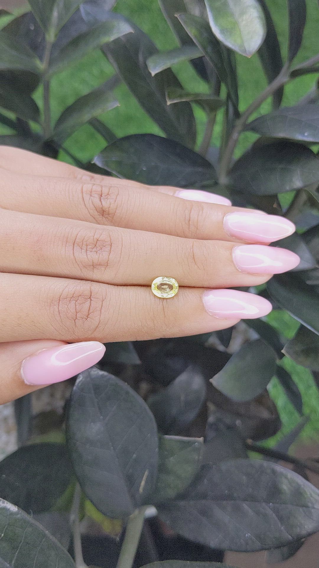 1.15 Ct. Yellow Sapphire from Ceylon (Sri Lanka) Size Video