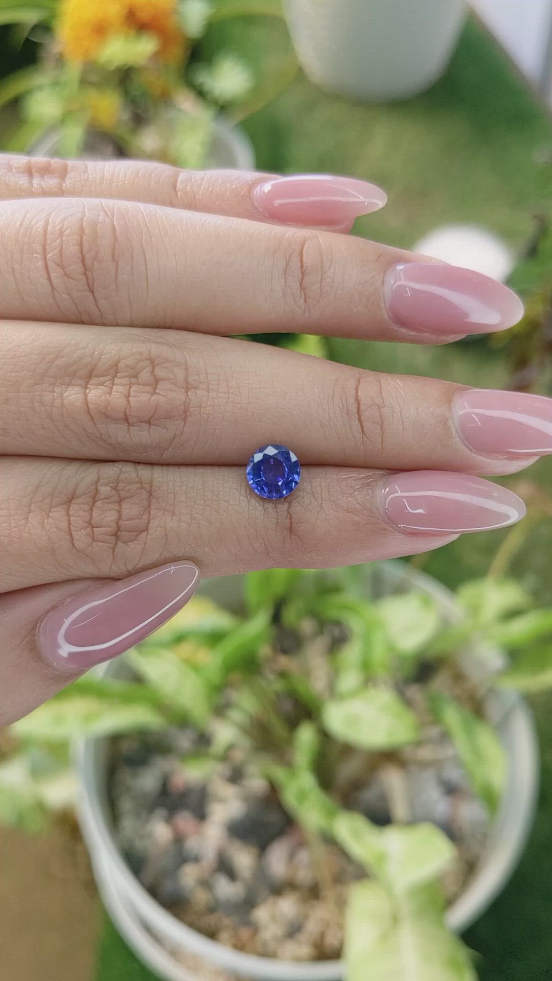1.34 Ct. Blue Sapphire from Ceylon (Sri Lanka) Size Video