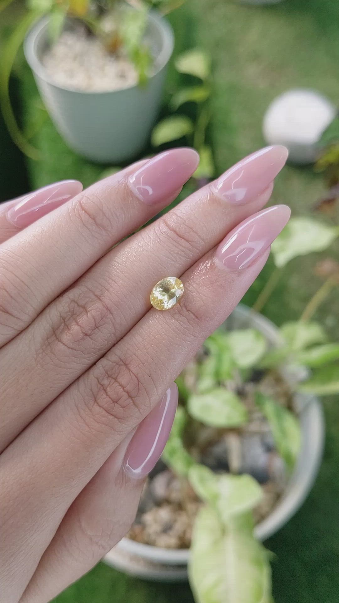 1.60 Ct. Yellow Sapphire from Ceylon (Sri Lanka) Size Video