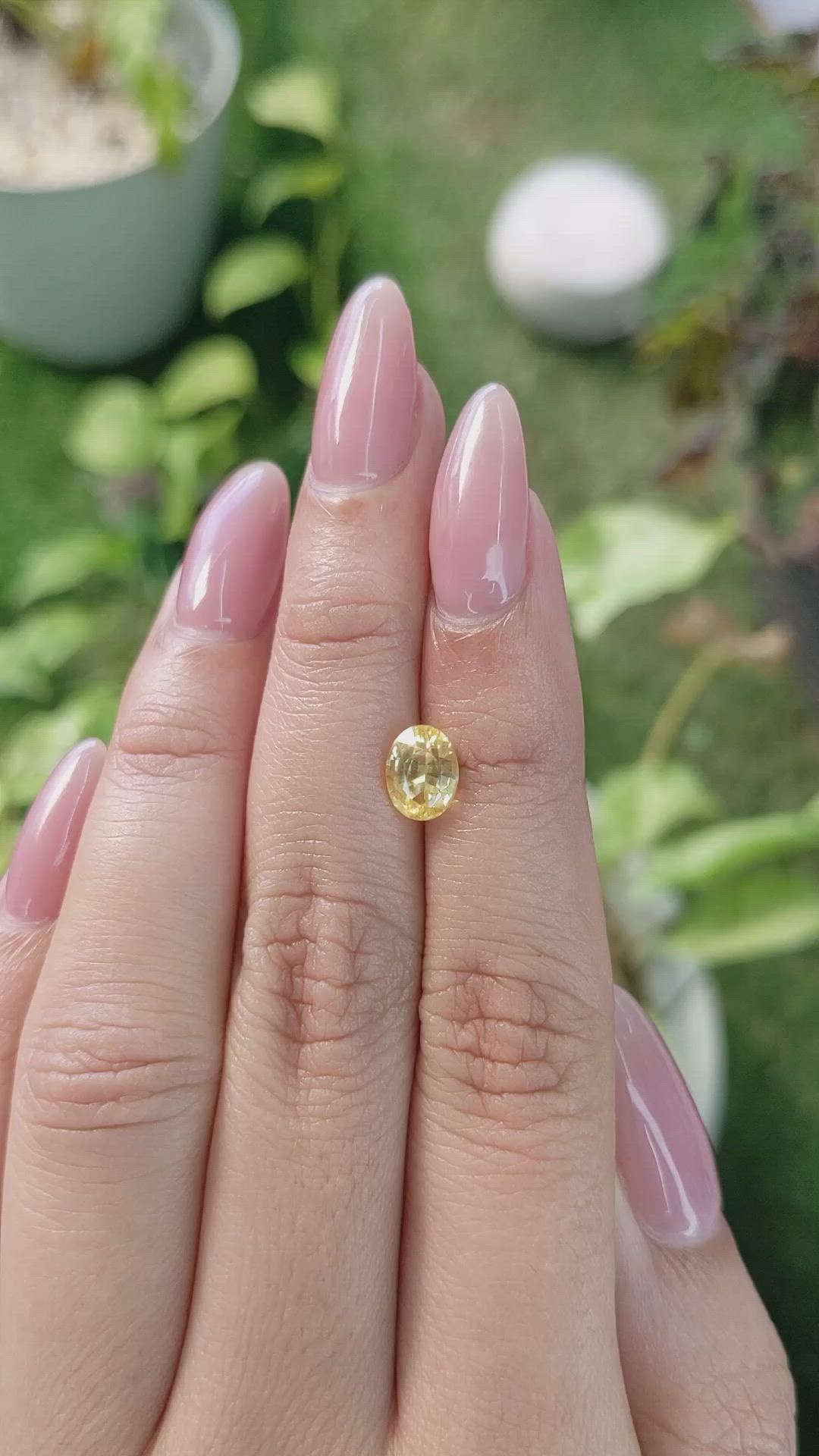 1.60 Ct. Yellow Sapphire from Ceylon (Sri Lanka) Size Video