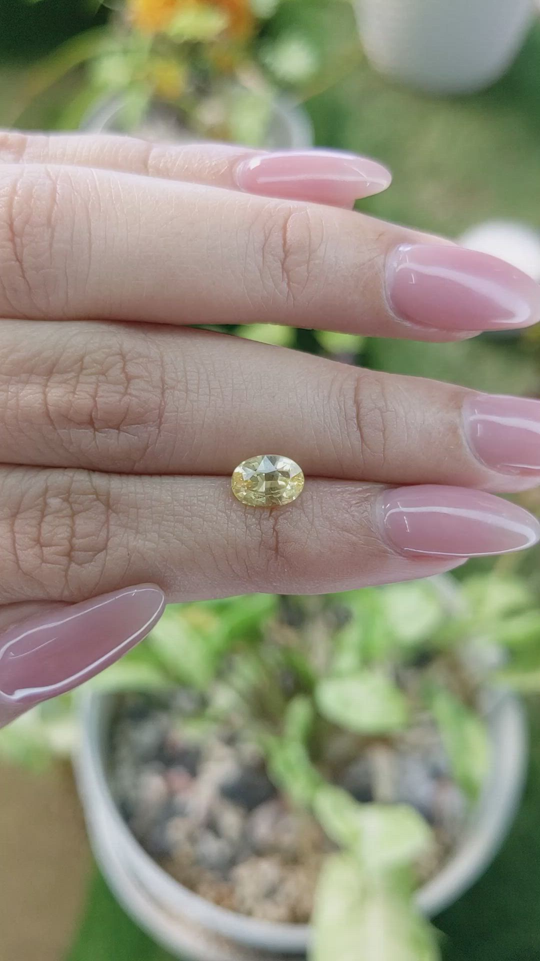 1.60 Ct. Yellow Sapphire from Ceylon (Sri Lanka) Size Video