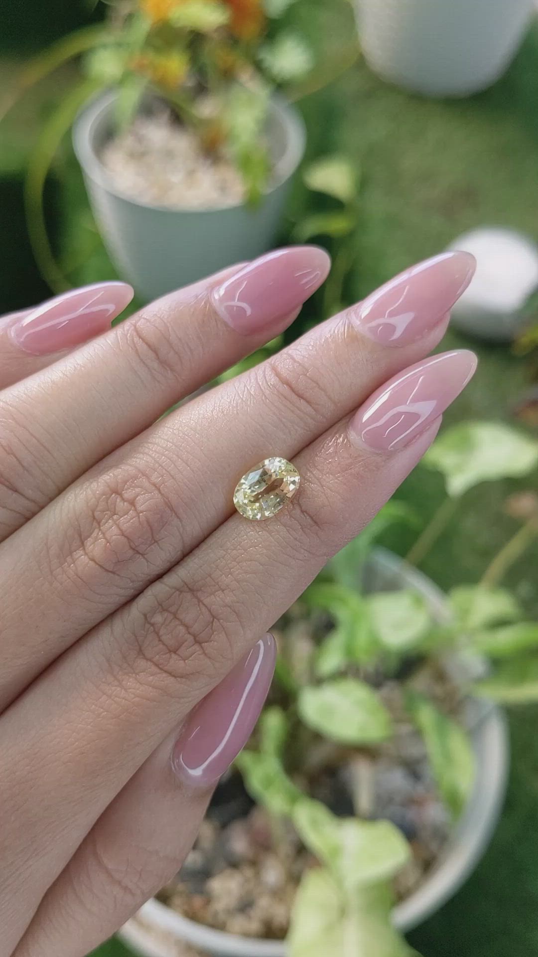 2.36 Ct. Yellow Sapphire from Ceylon (Sri Lanka) Size Video
