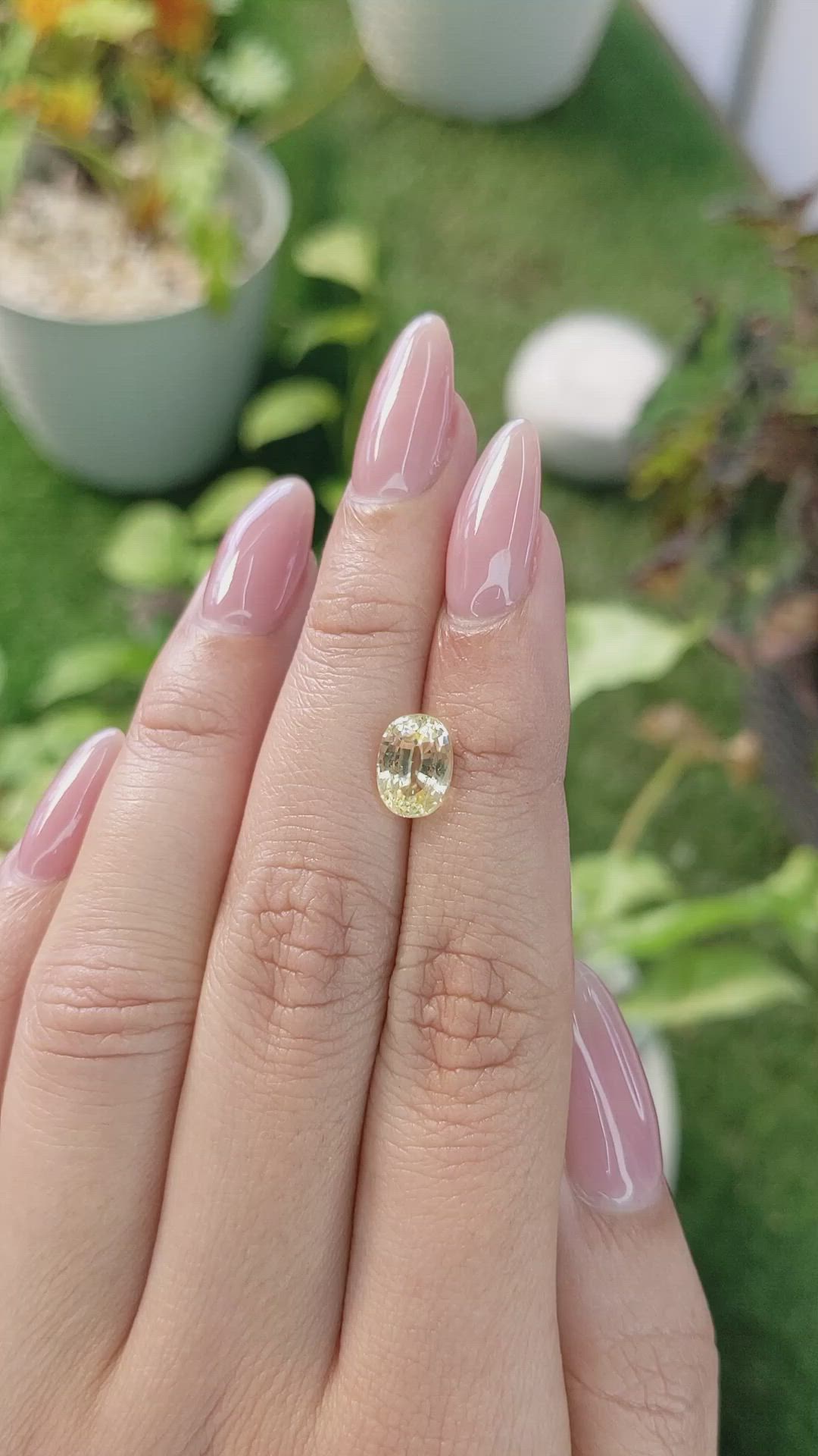 2.36 Ct. Yellow Sapphire from Ceylon (Sri Lanka) Size Video